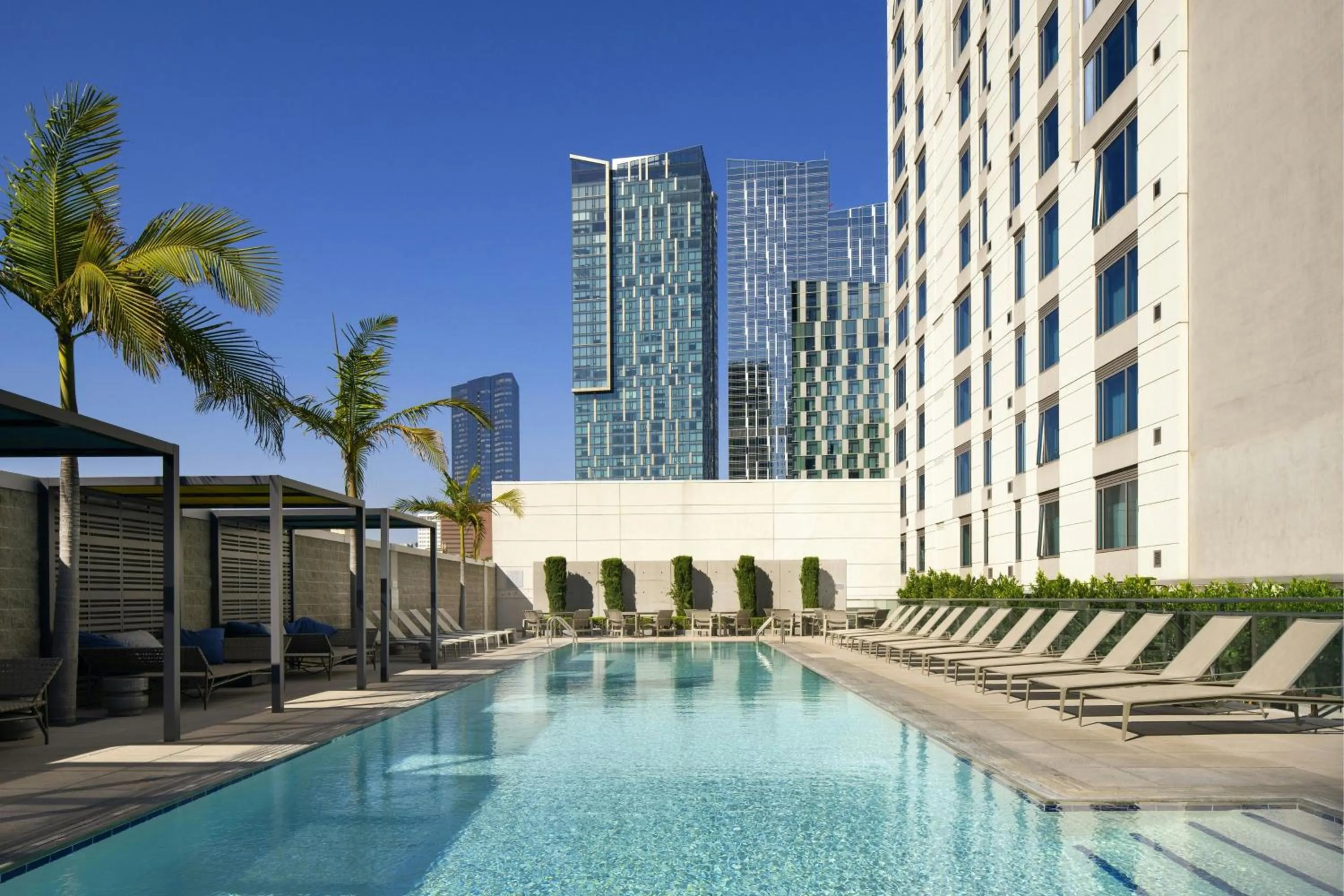 Swimming pool in Courtyard by Marriott Los Angeles L.A. LIVE