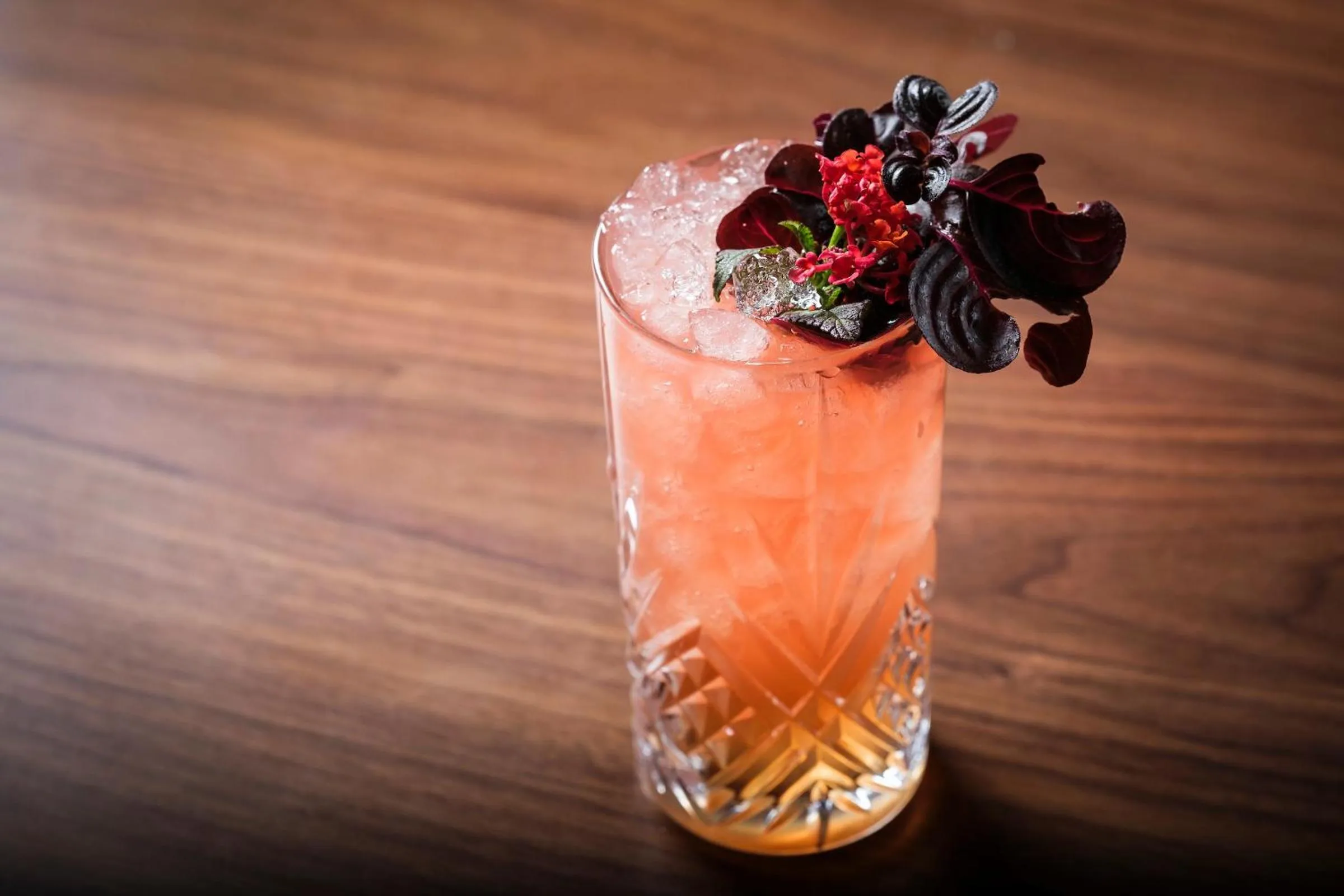 Photo of the whole room in Kimpton Virgilio Polanco by IHG