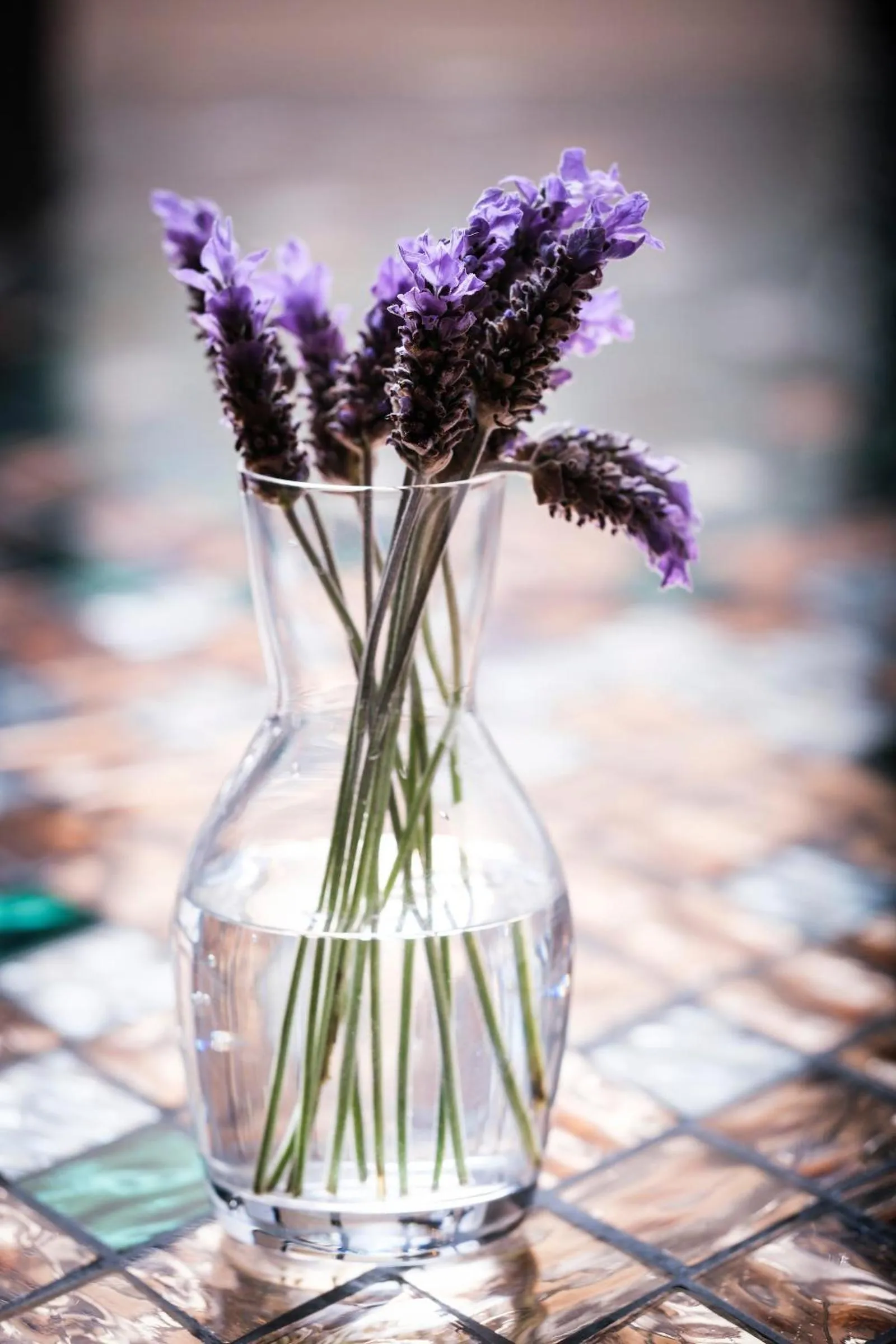 Restaurant/places to eat in Kimpton Virgilio Polanco by IHG