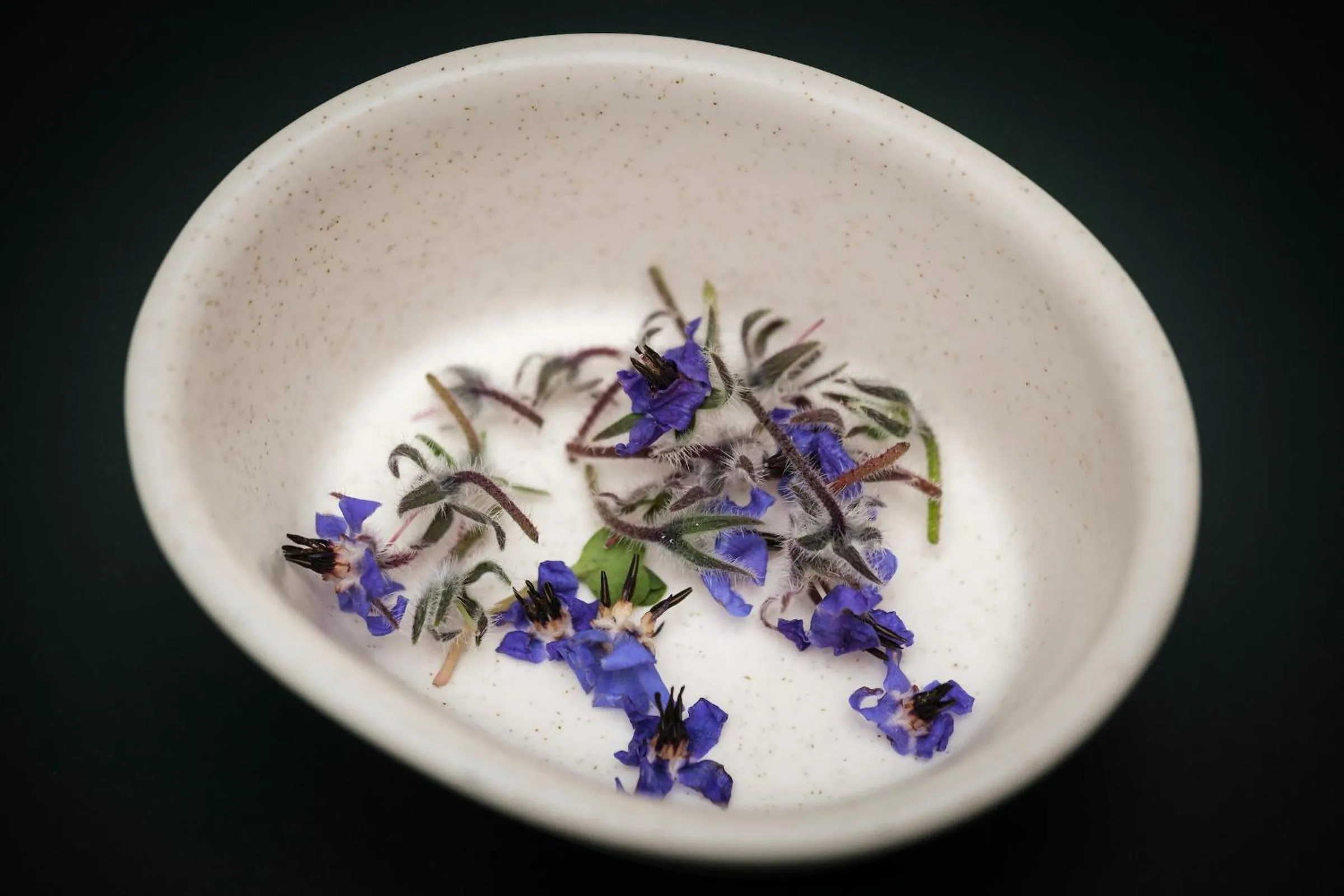 Restaurant/places to eat in Kimpton Virgilio Polanco by IHG