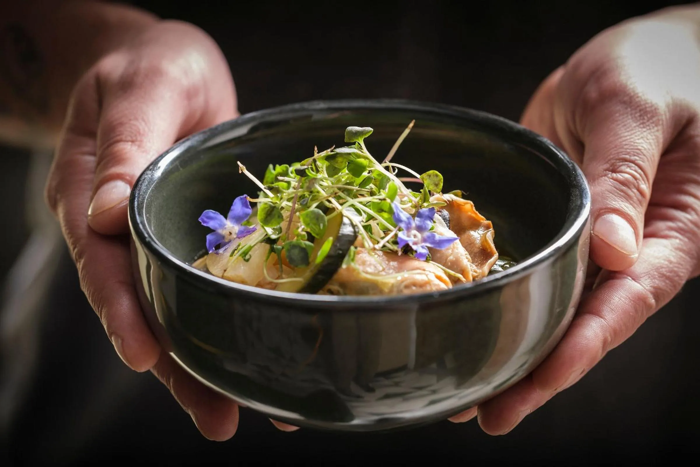 Restaurant/places to eat in Kimpton Virgilio Polanco by IHG