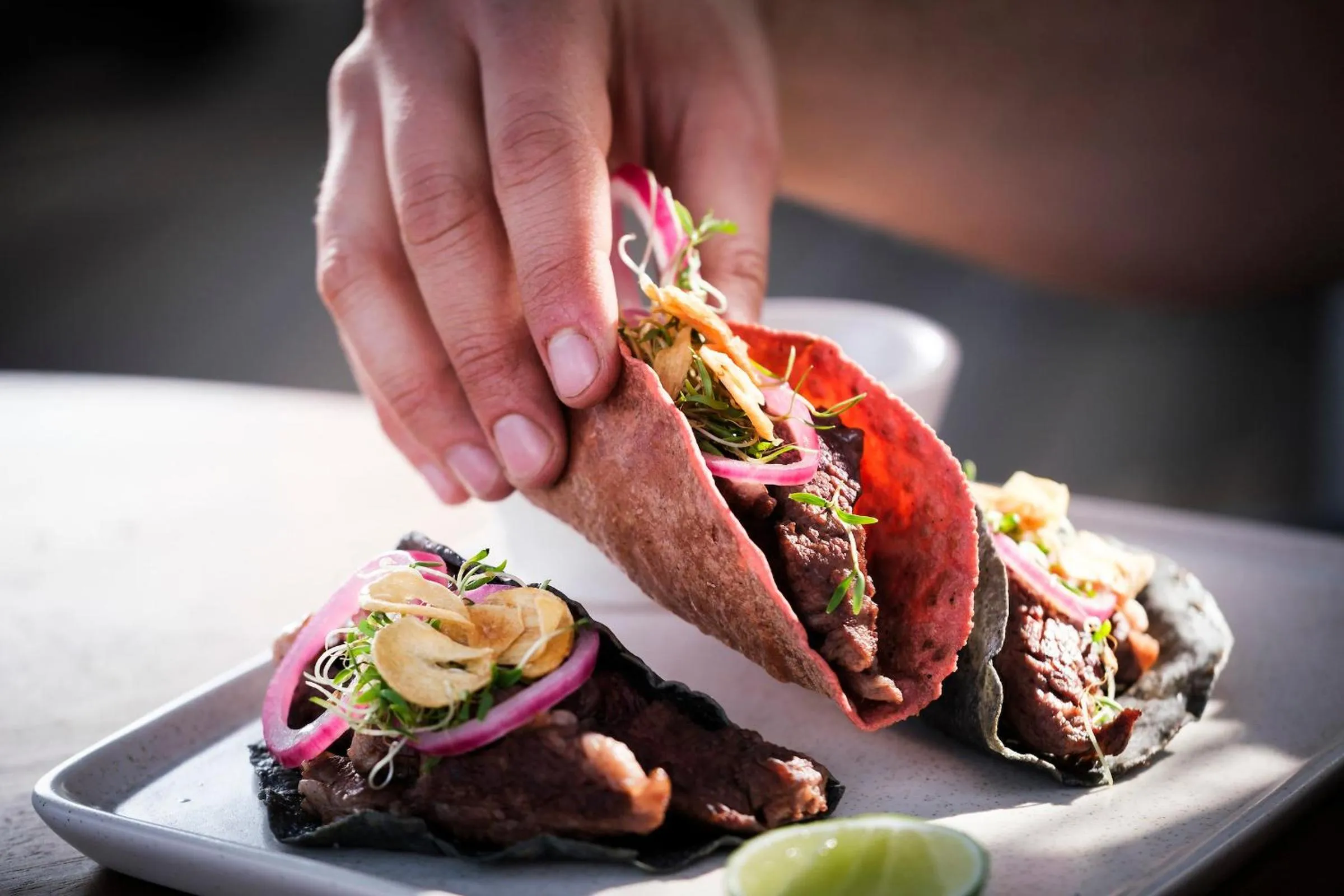 Restaurant/places to eat in Kimpton Virgilio Polanco by IHG