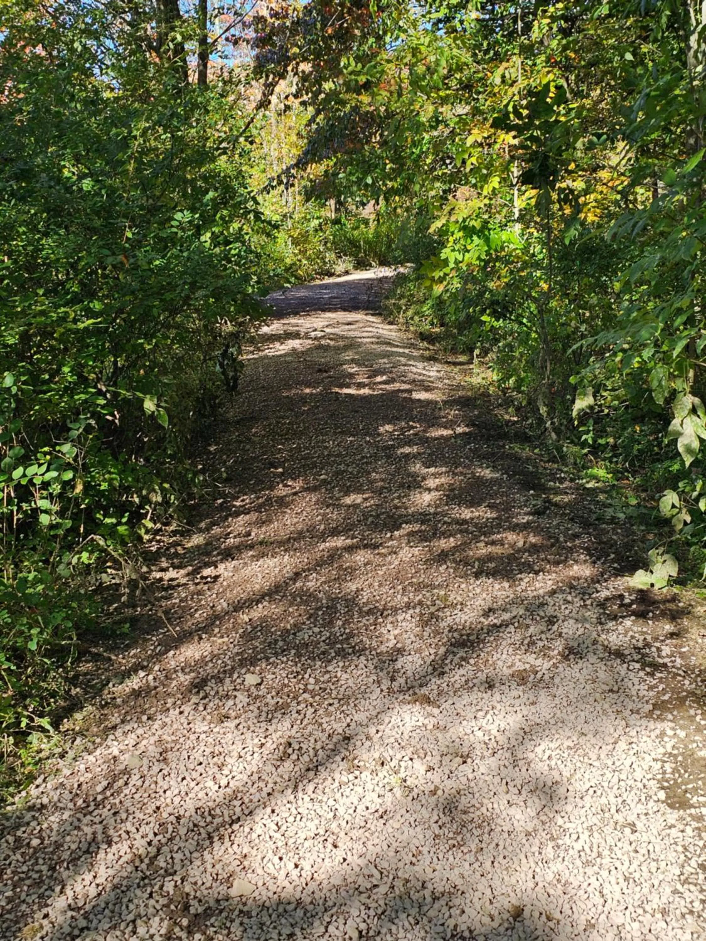 Hiking in Lodge at Chalk Hill