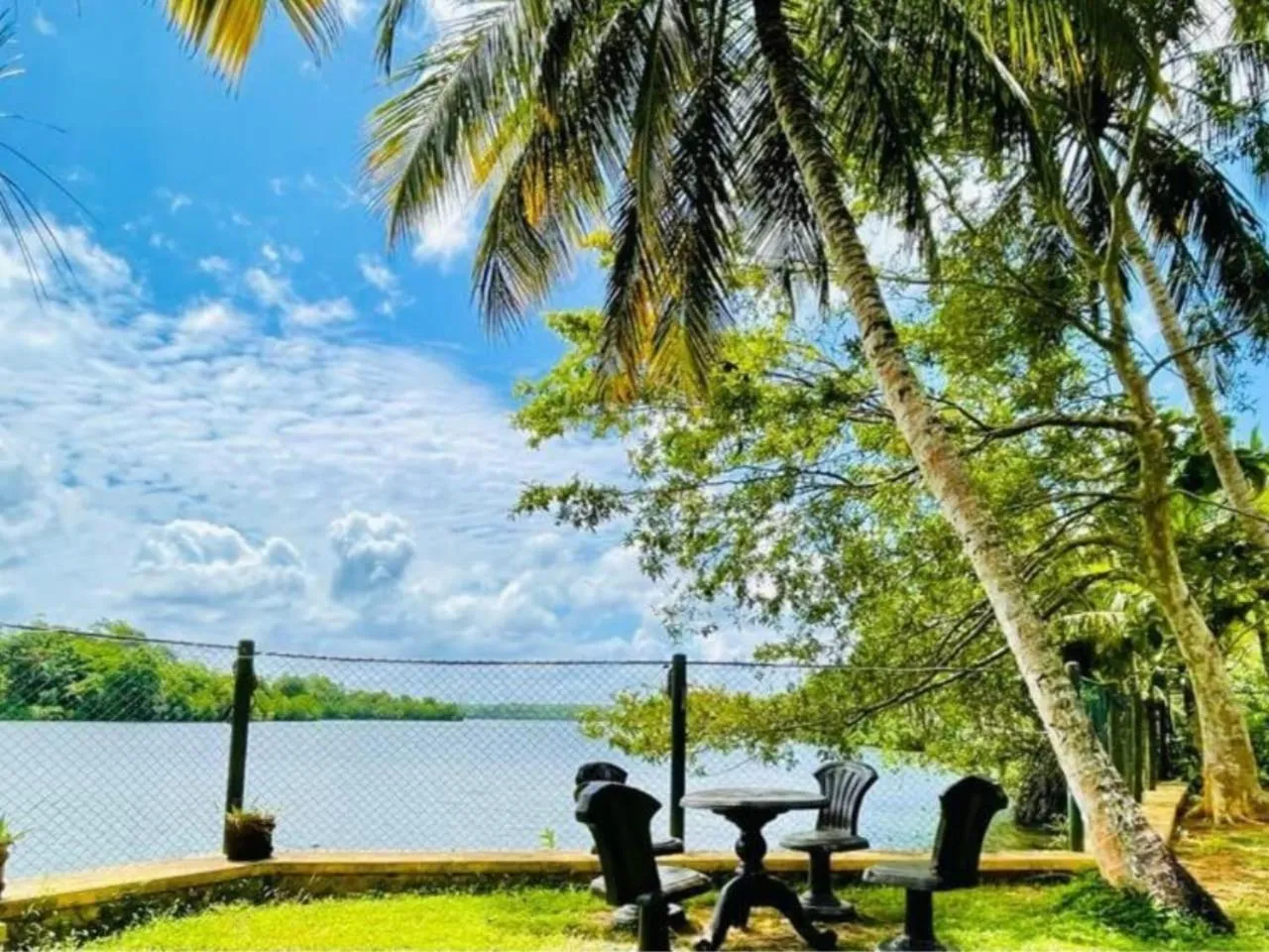 Garden in The Thotupola Habaraduwa