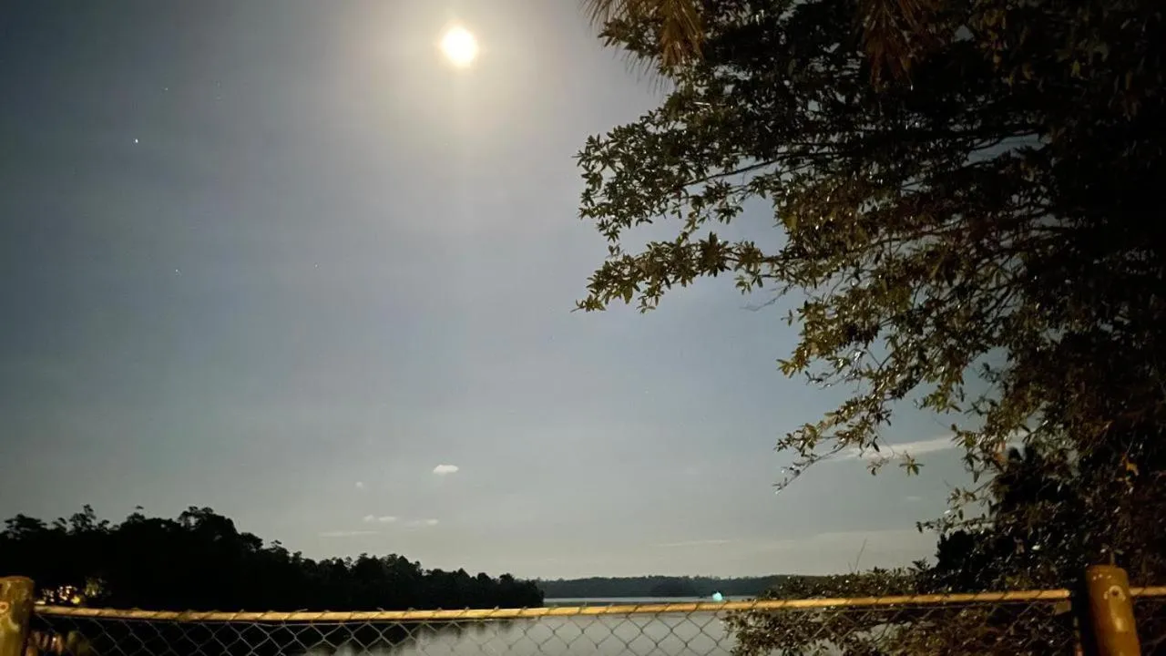 Night in The Thotupola Habaraduwa