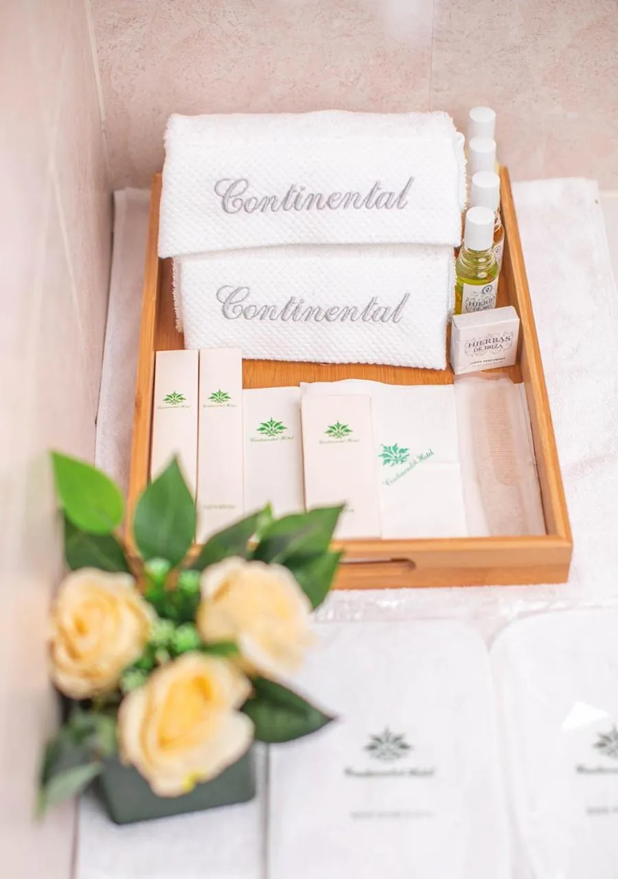 Toilet in Continental Hotel