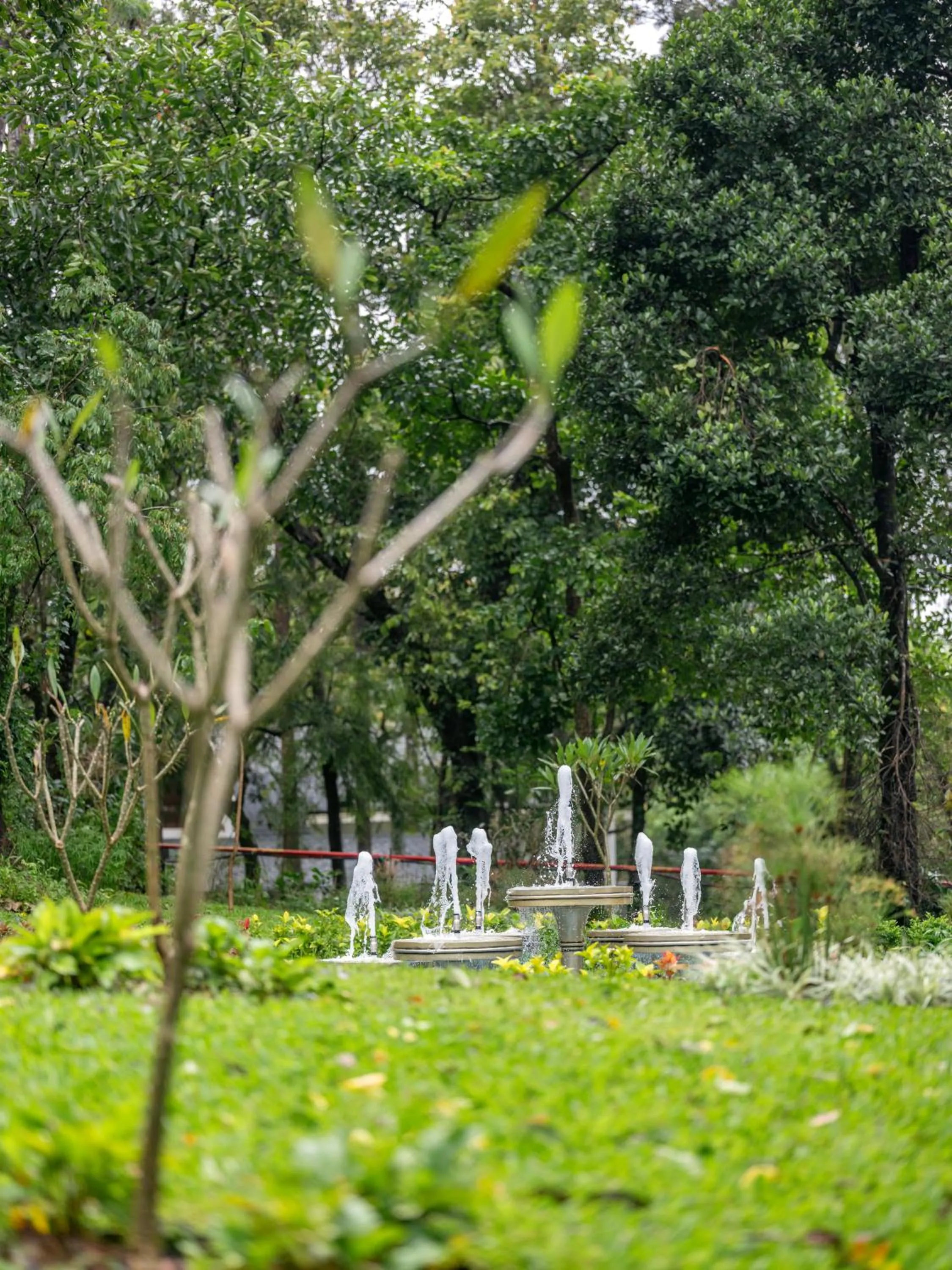 Garden view in Coorg Marriott Resort & Spa