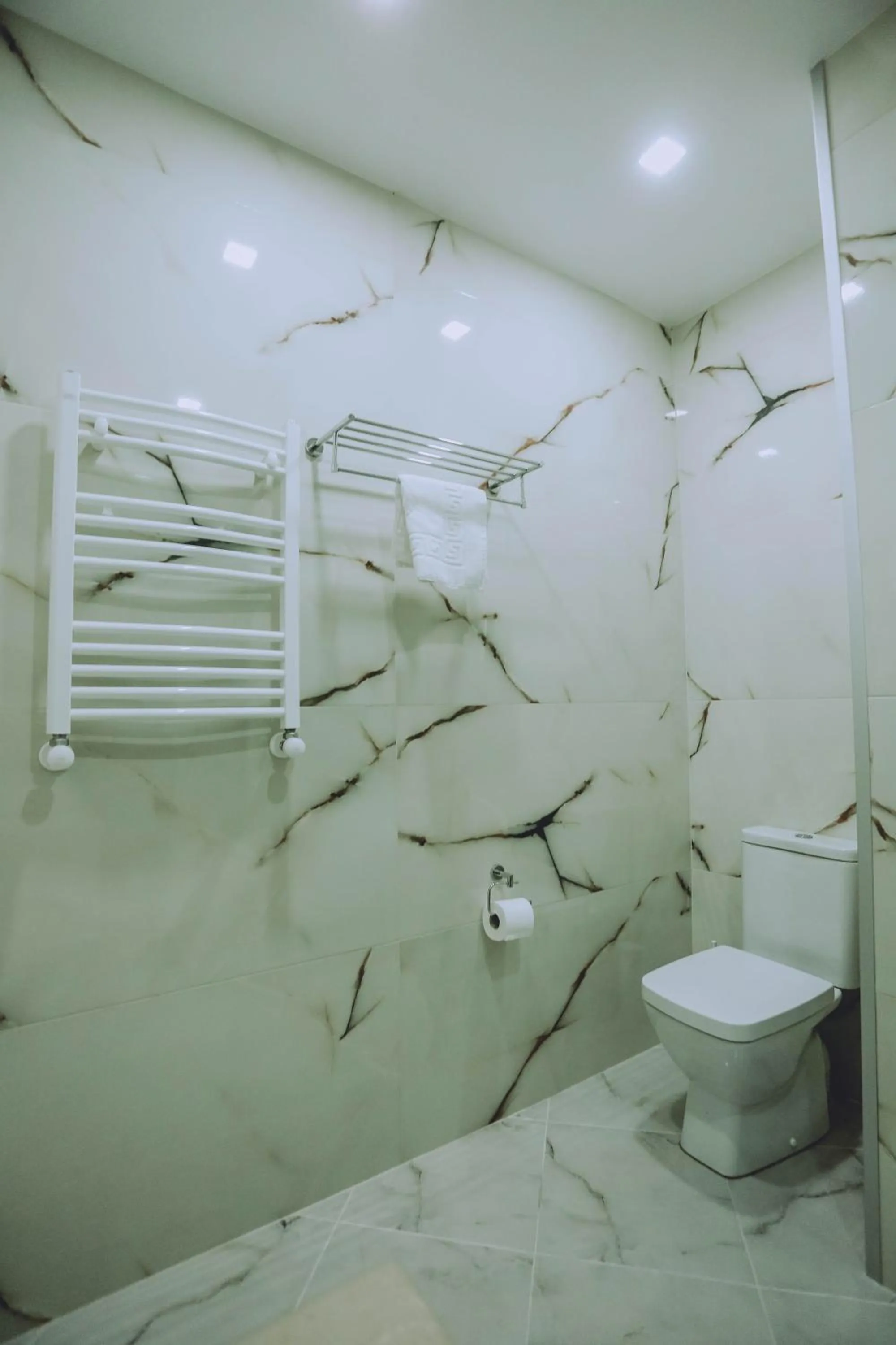 Shower in Royal Medis Hotel