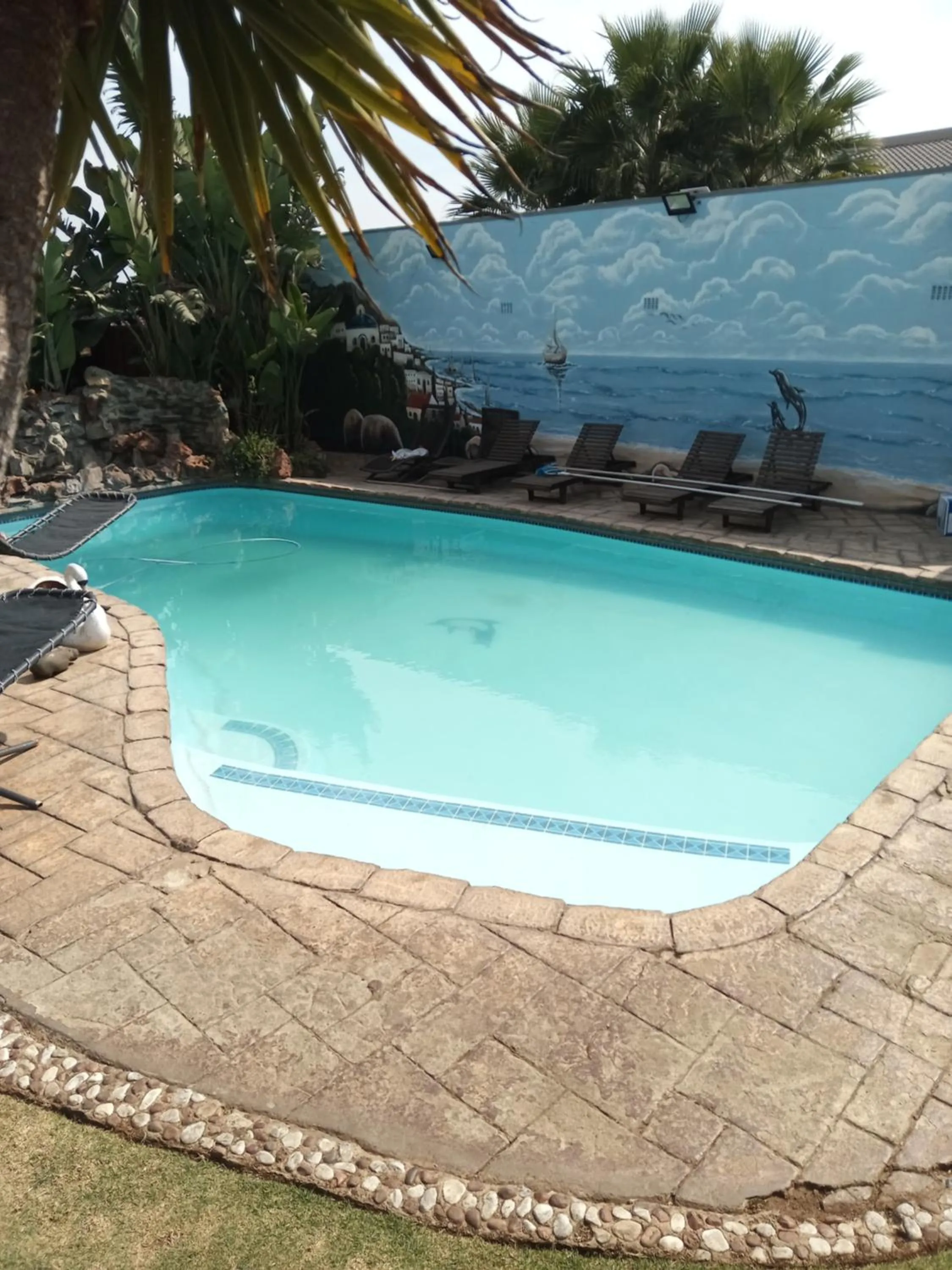 Swimming pool in Petra Lodge