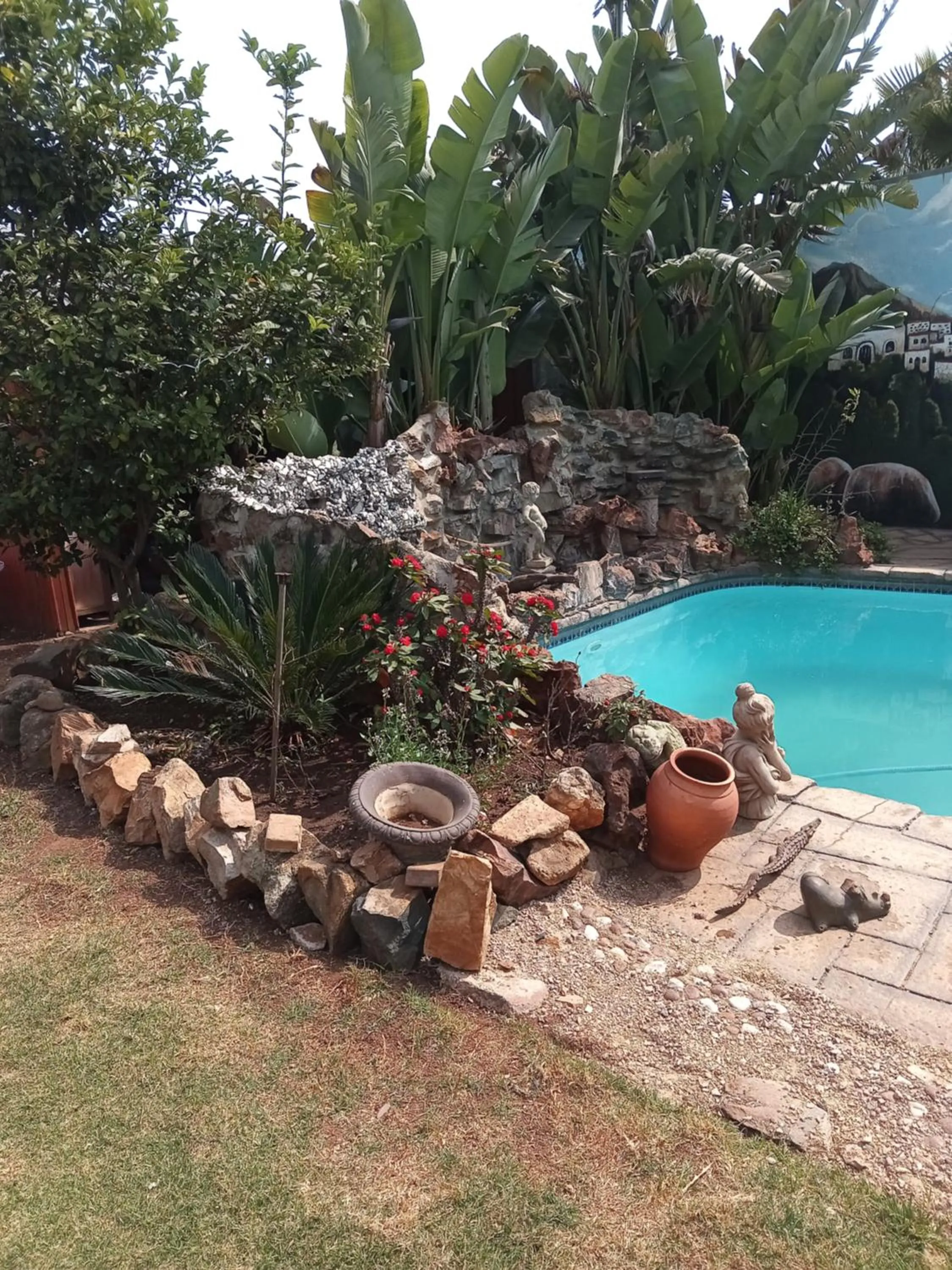 Swimming pool in Petra Lodge