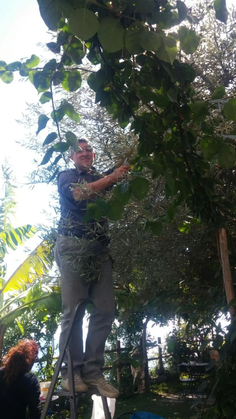 Other in World Center