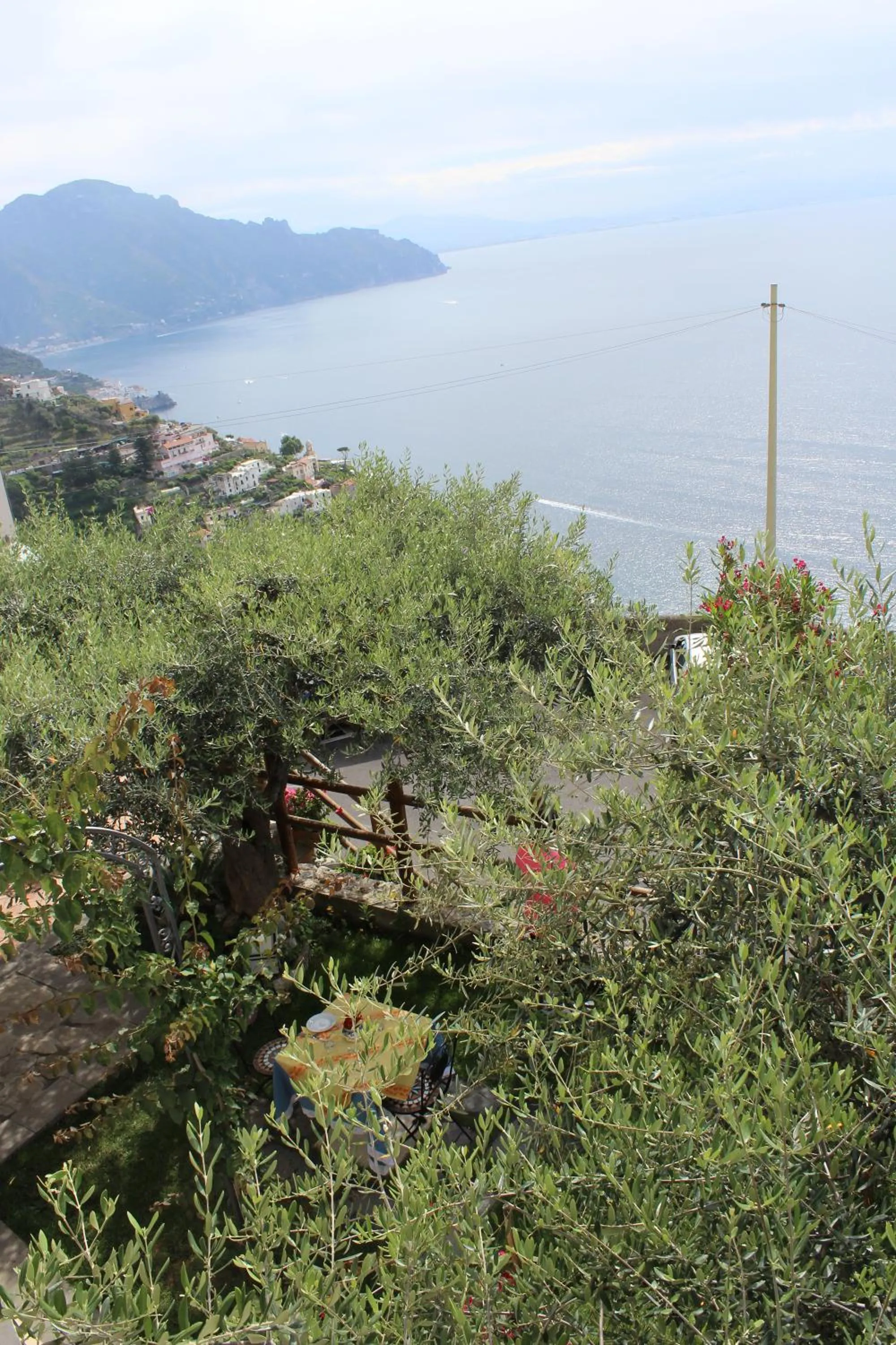 City view in World Center