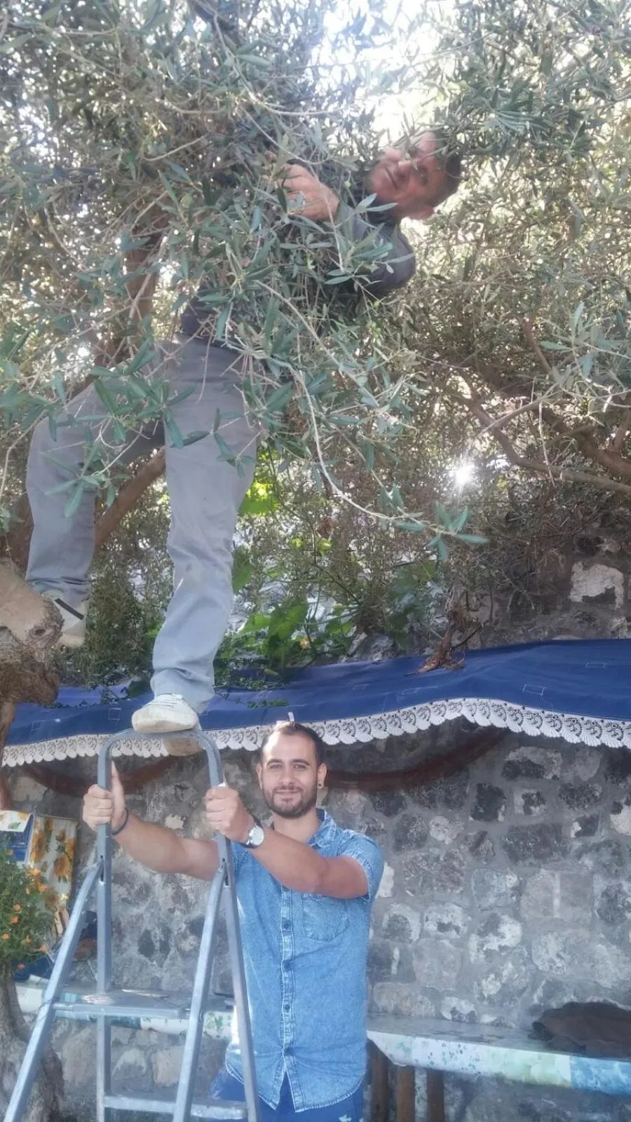 Other in World Center