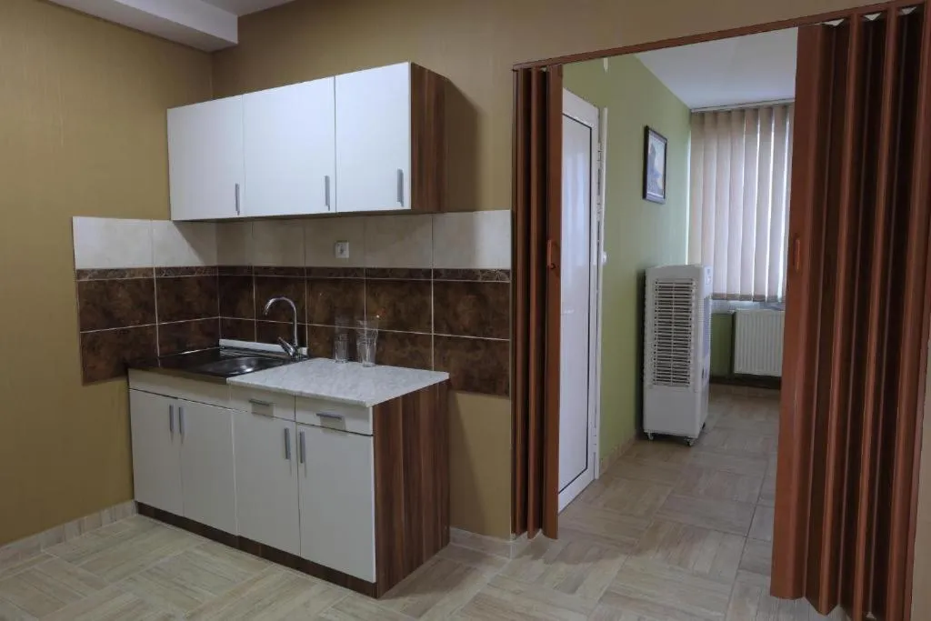 Kitchen or kitchenette in Hotel Saradis