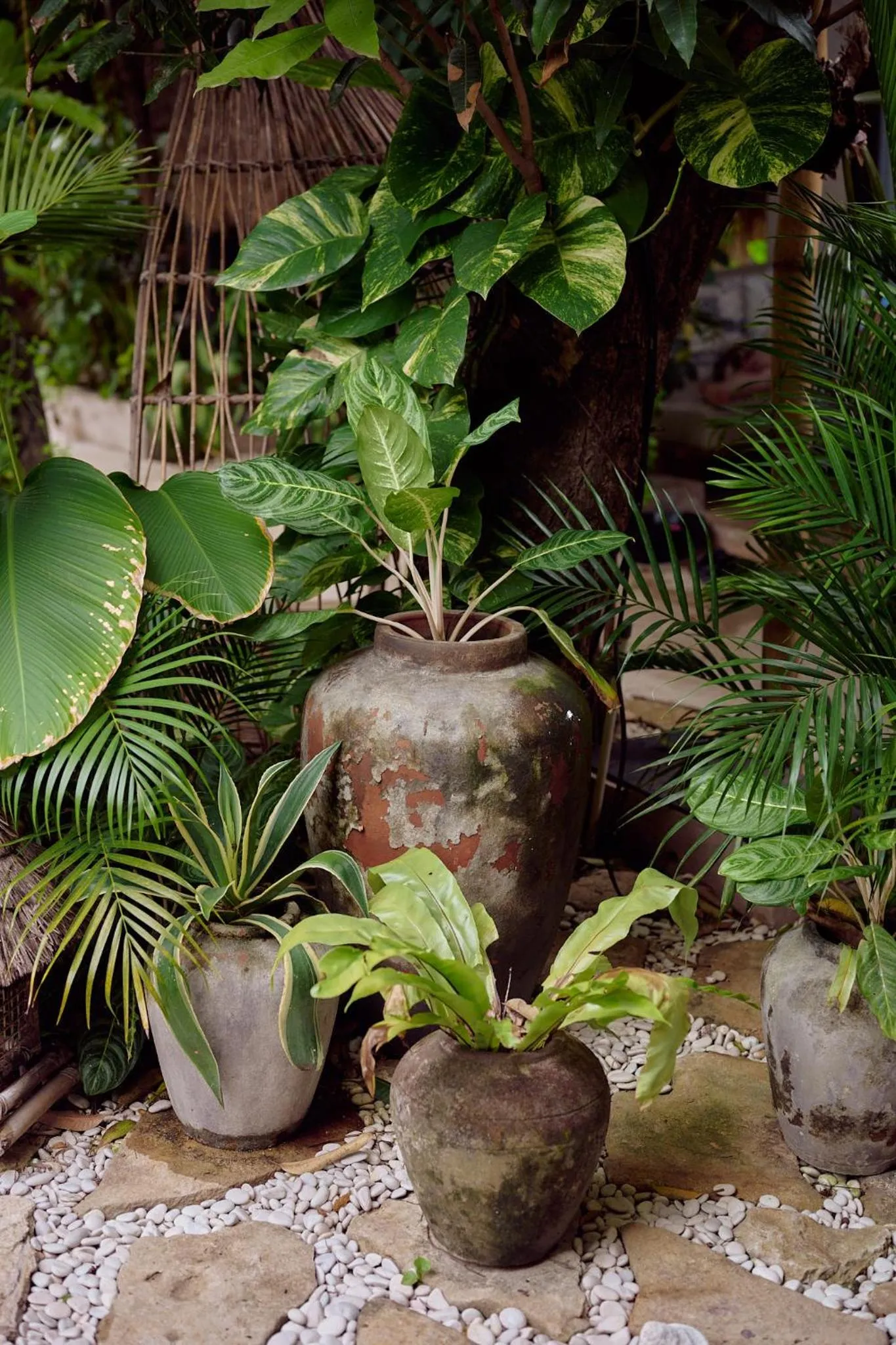 Spring in Hani Hideaway