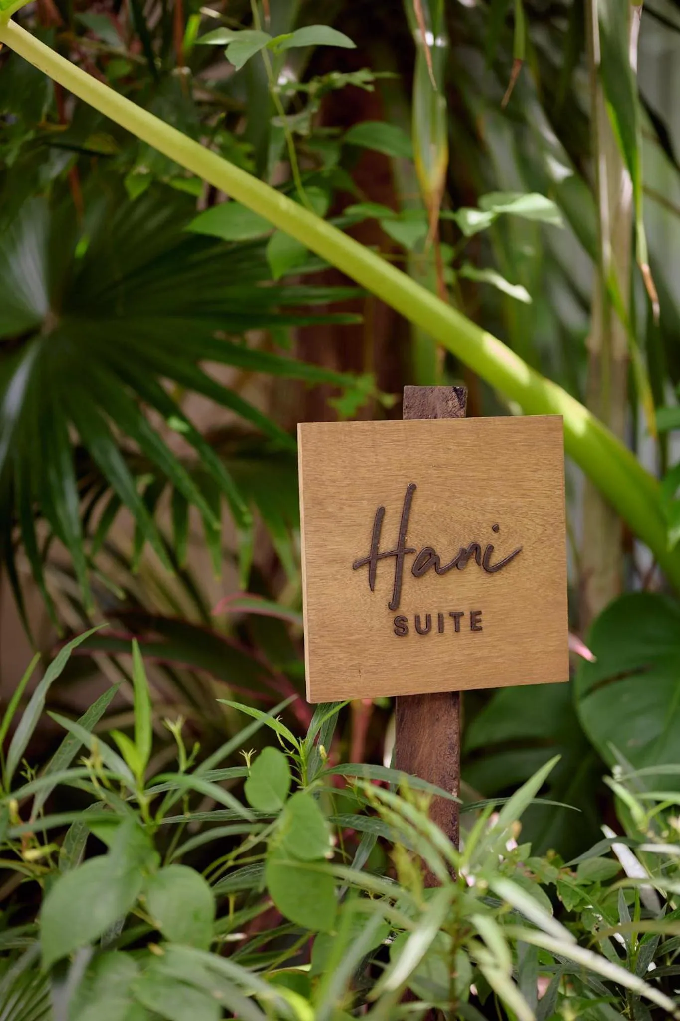 Day in Hani Hideaway