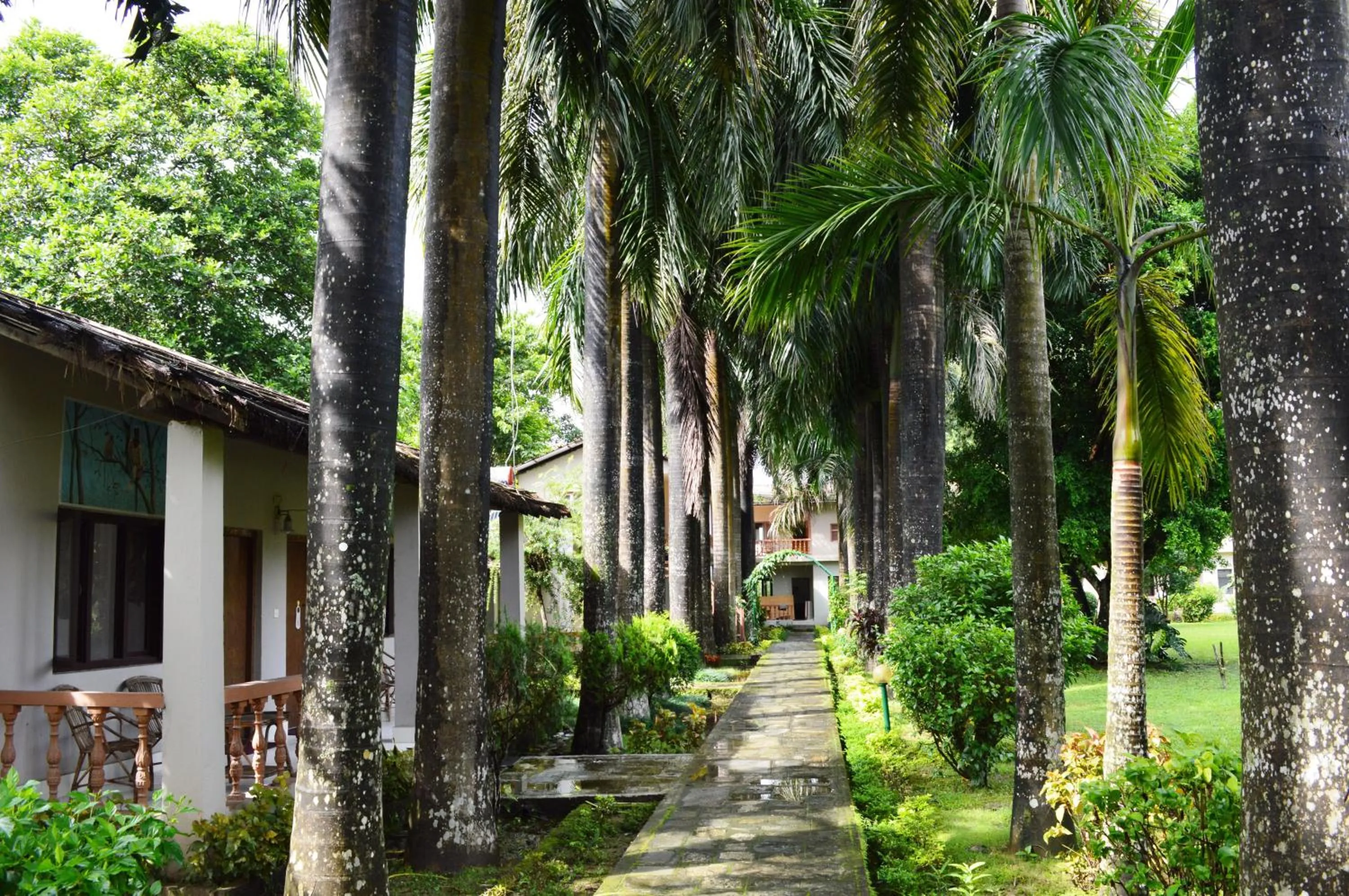 Garden in Chitwan Paradise Hotel