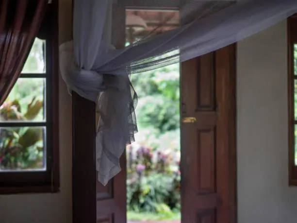 Garden view in Chitwan Paradise Hotel