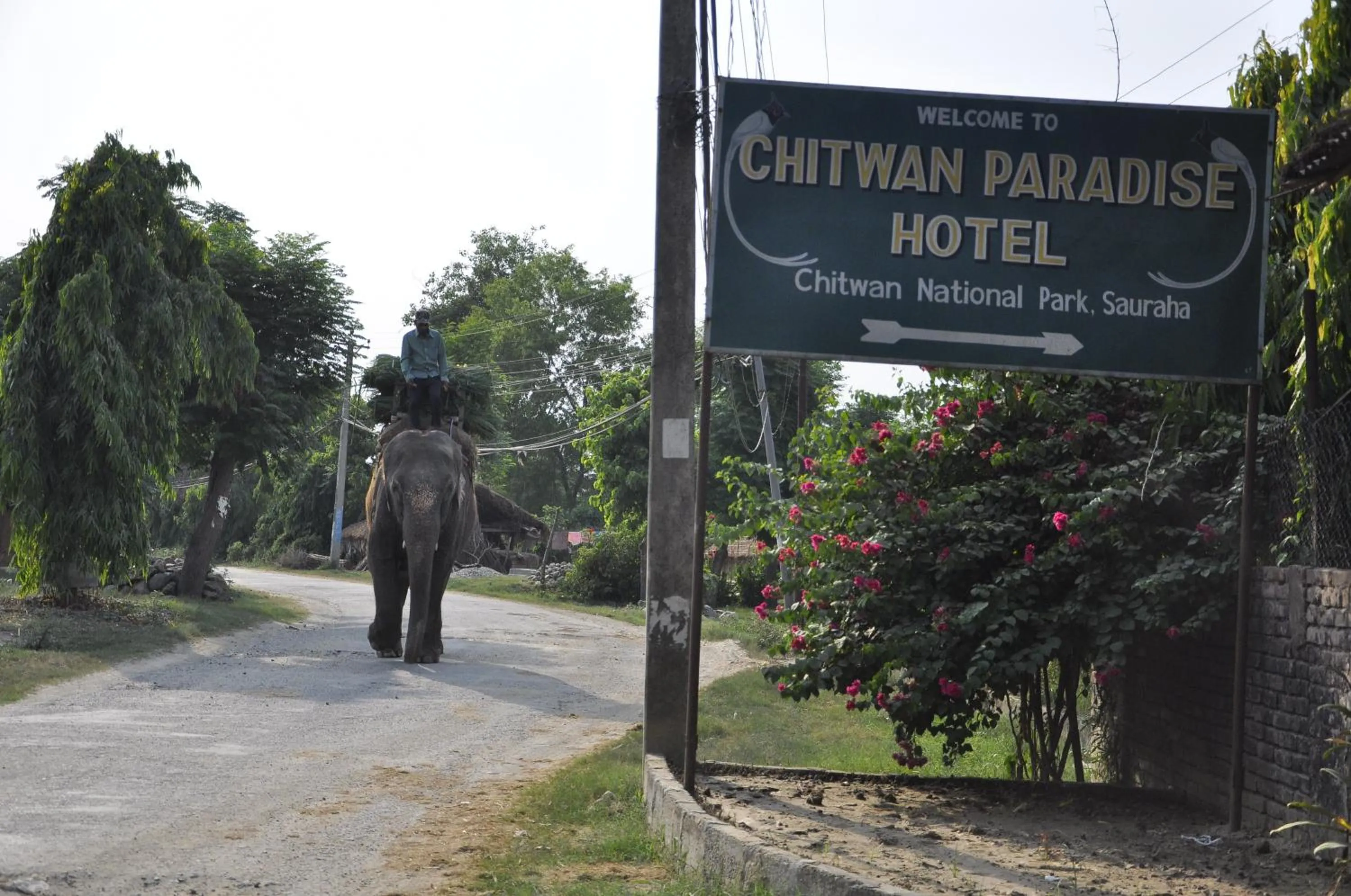 Facade/entrance in Chitwan Paradise Hotel