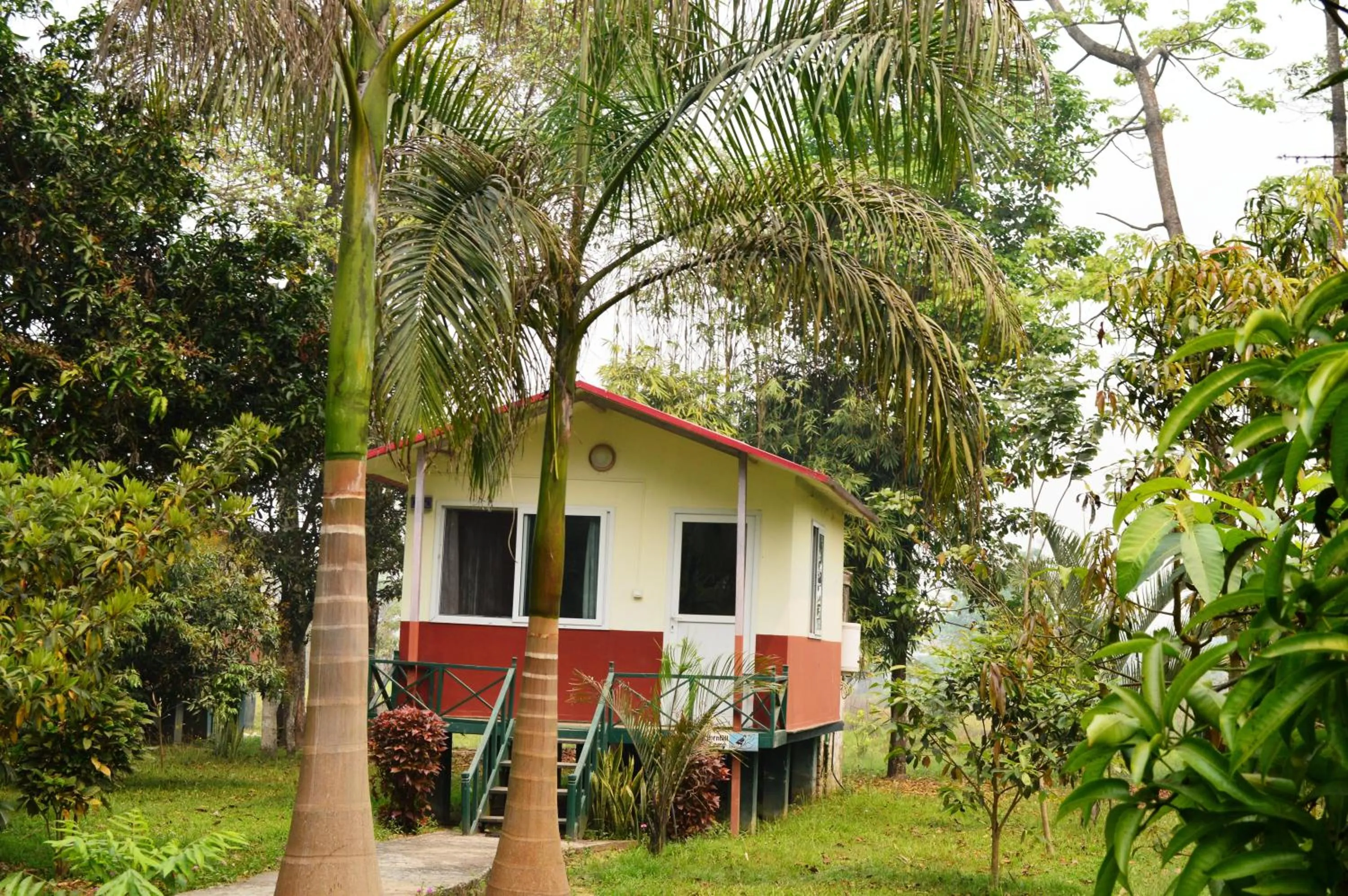 Balcony/Terrace in Chitwan Paradise Hotel