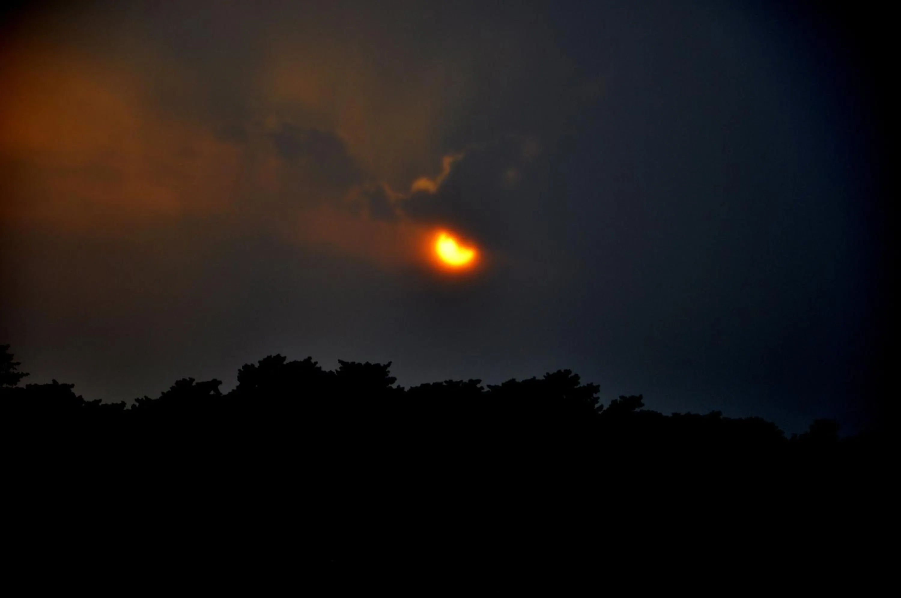 River view in Chitwan Paradise Hotel