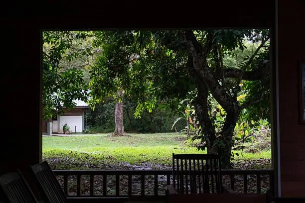 Natural landscape in Chitwan Paradise Hotel