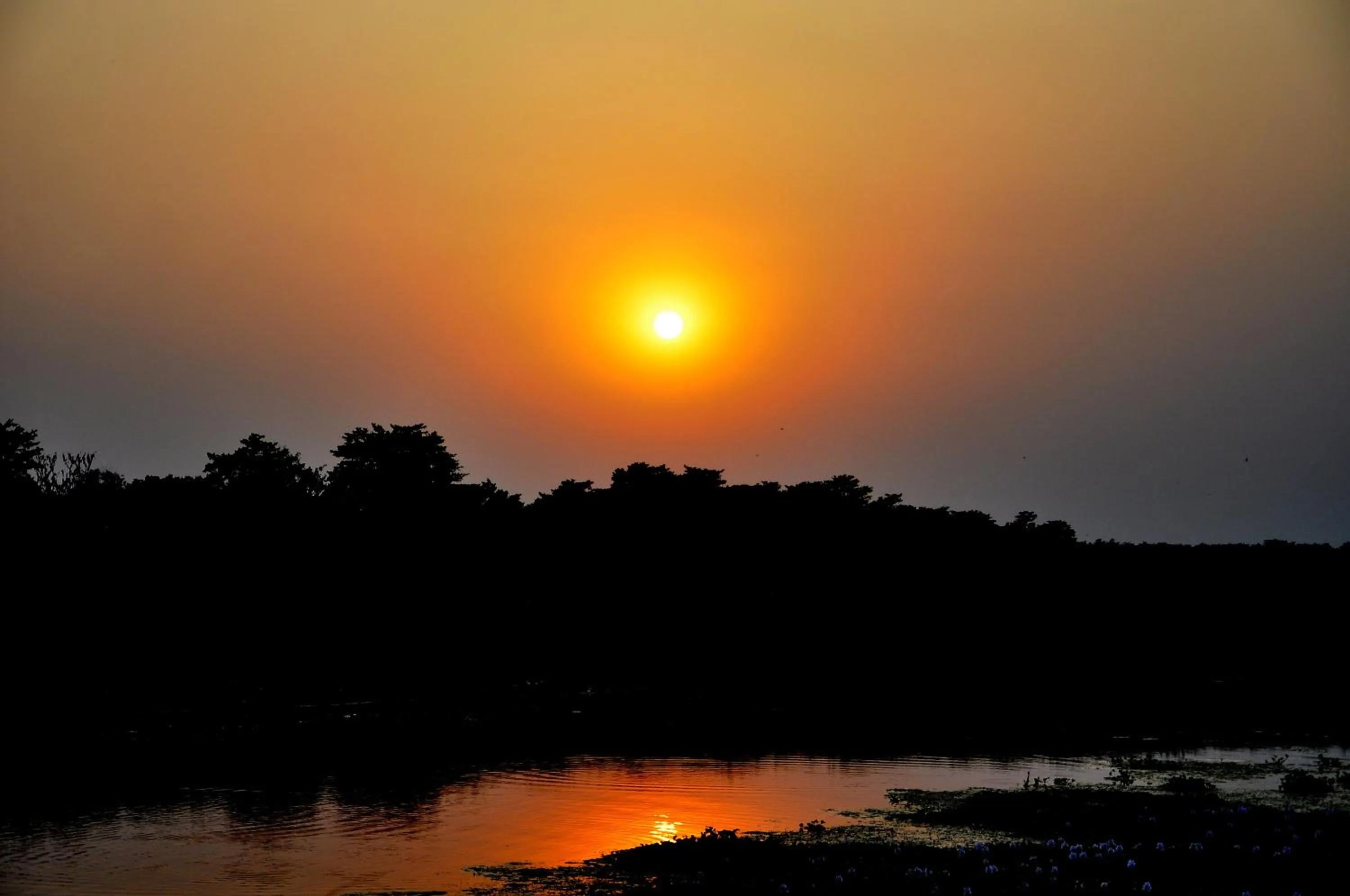 Neighbourhood in Chitwan Paradise Hotel