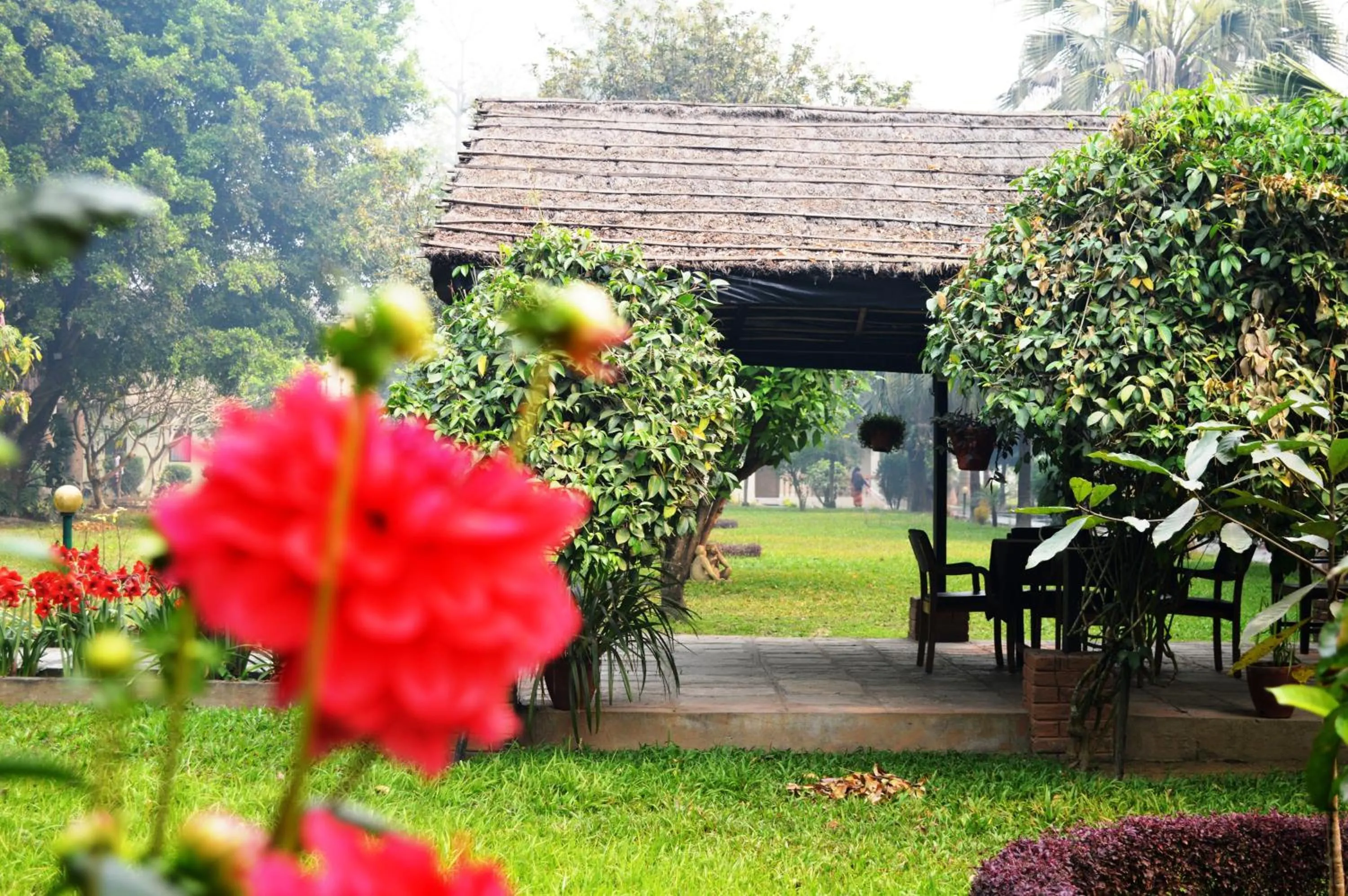 Garden in Chitwan Paradise Hotel