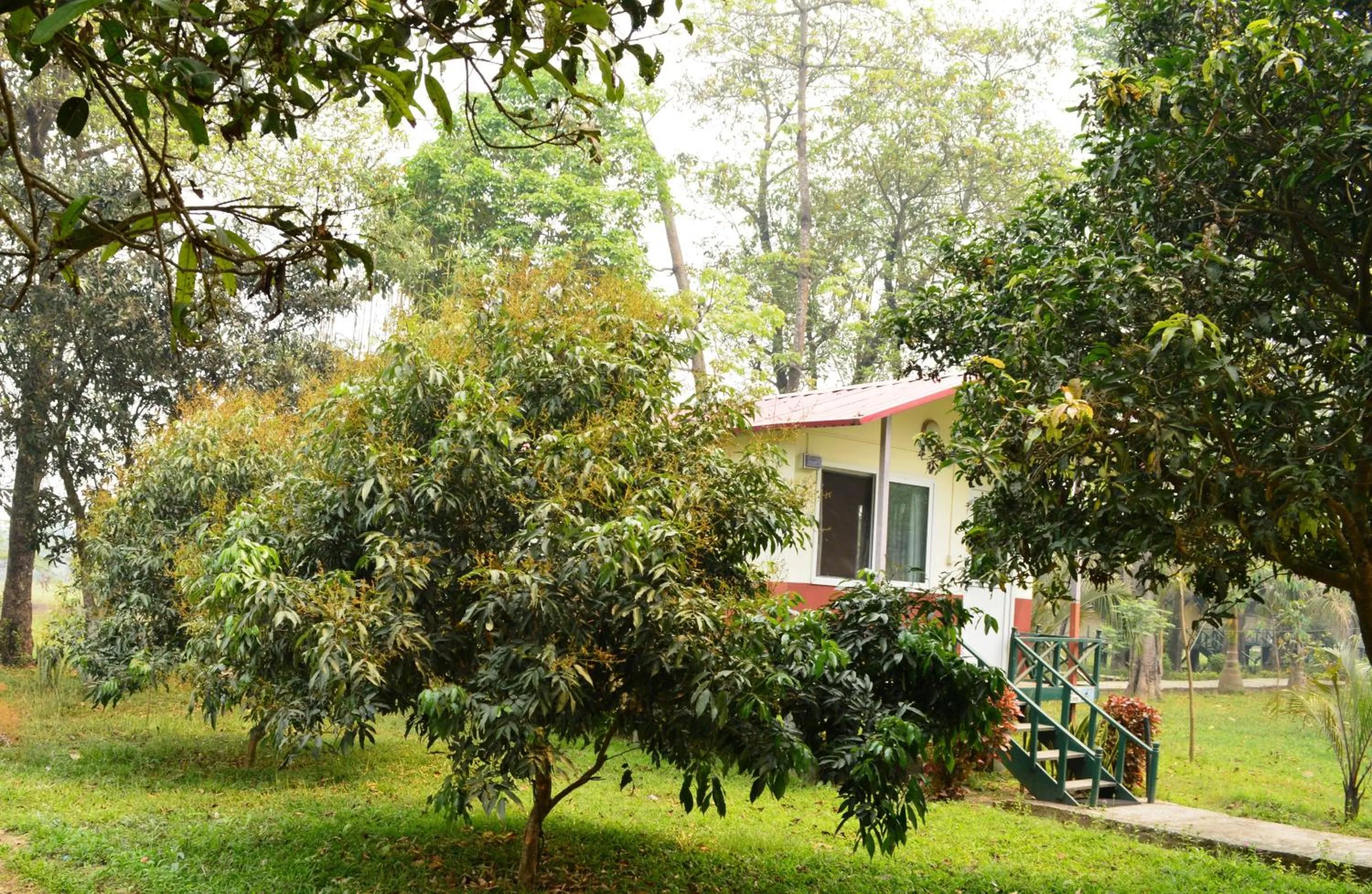 Area and facilities in Chitwan Paradise Hotel