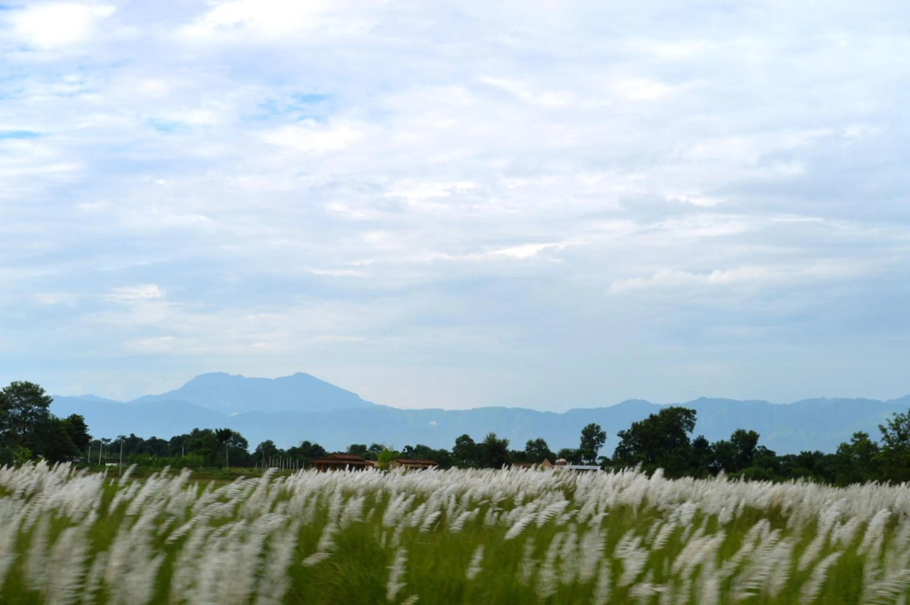 Neighbourhood in Chitwan Paradise Hotel