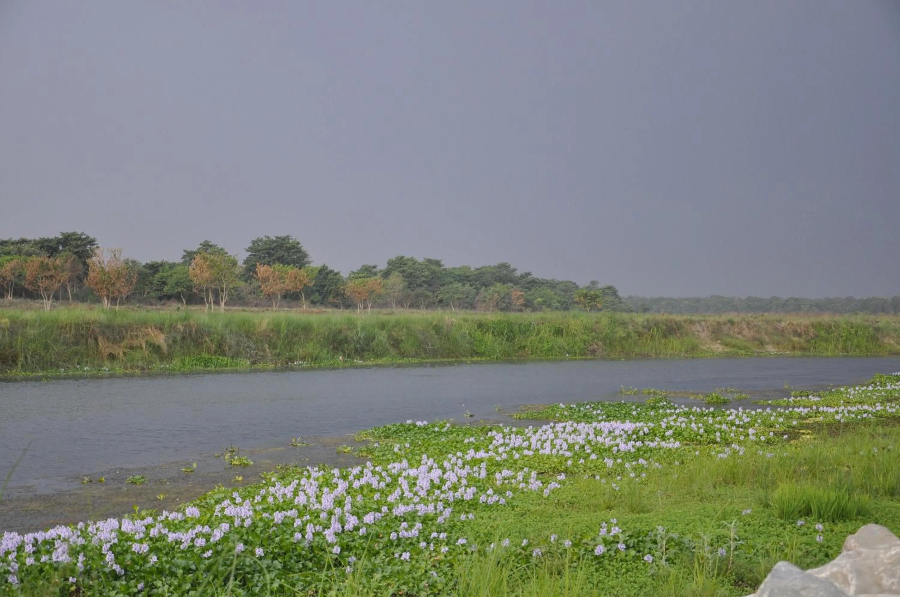 River view in Chitwan Paradise Hotel