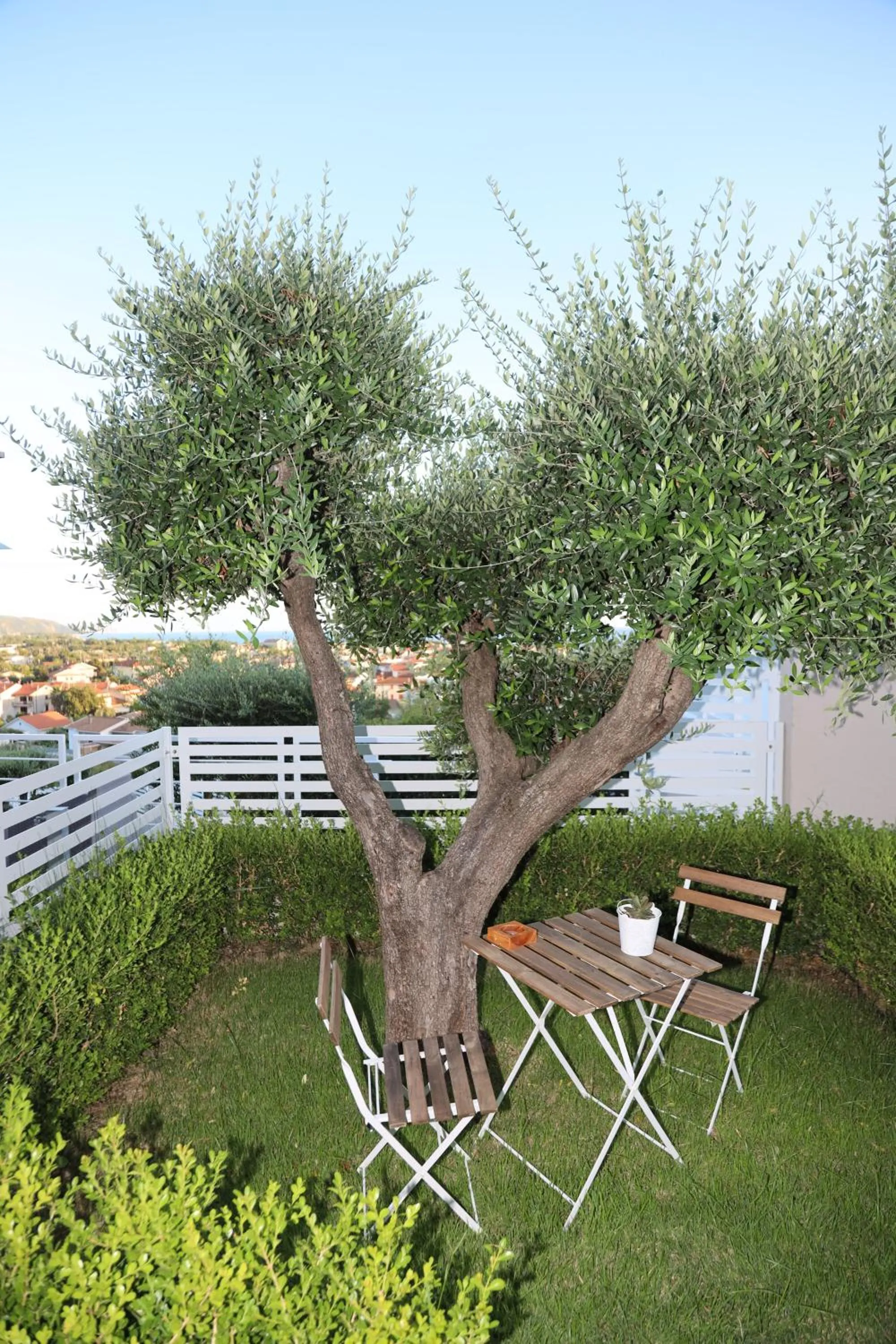 Tenuta Del Duca