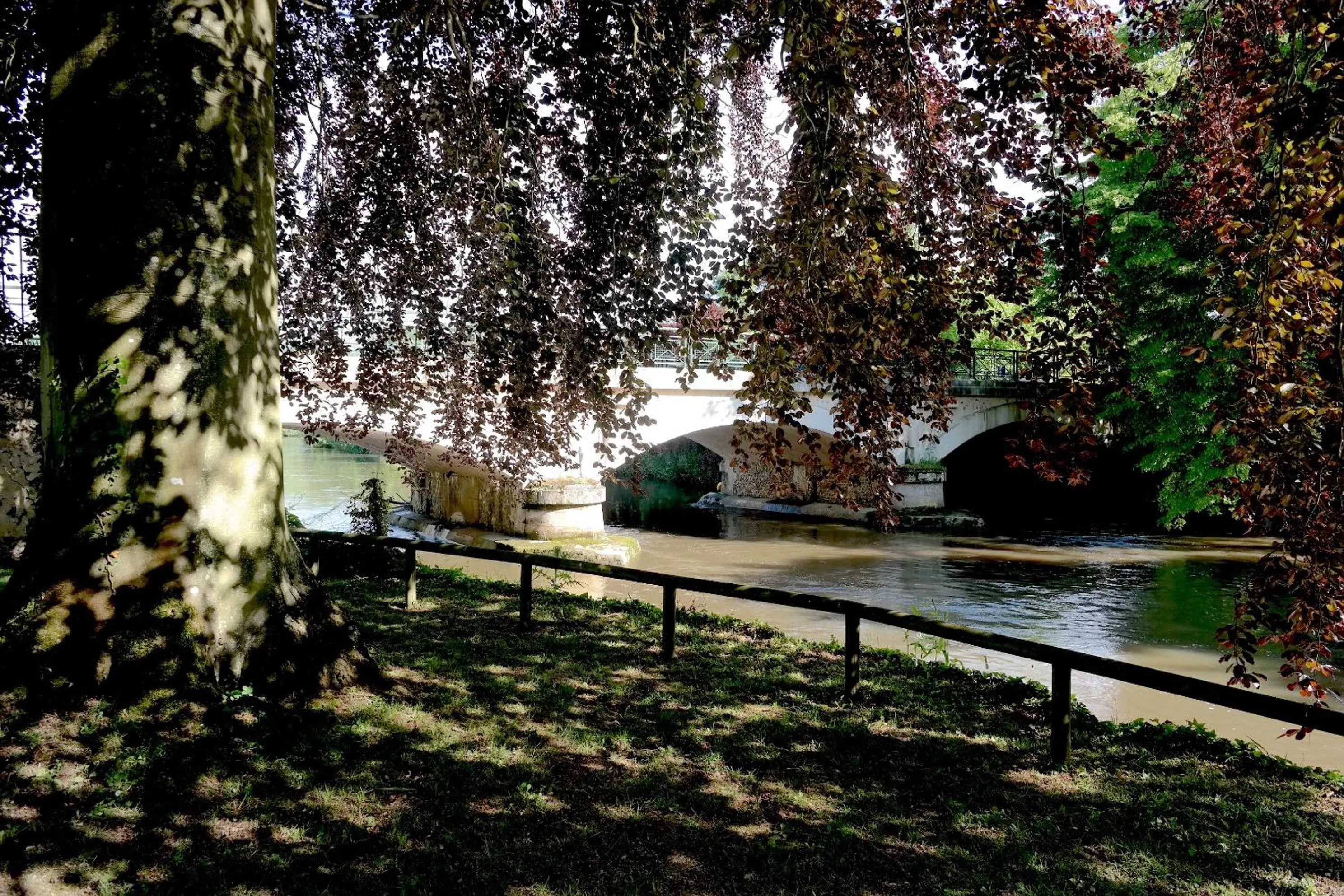Garden in Domaine de la Reposée