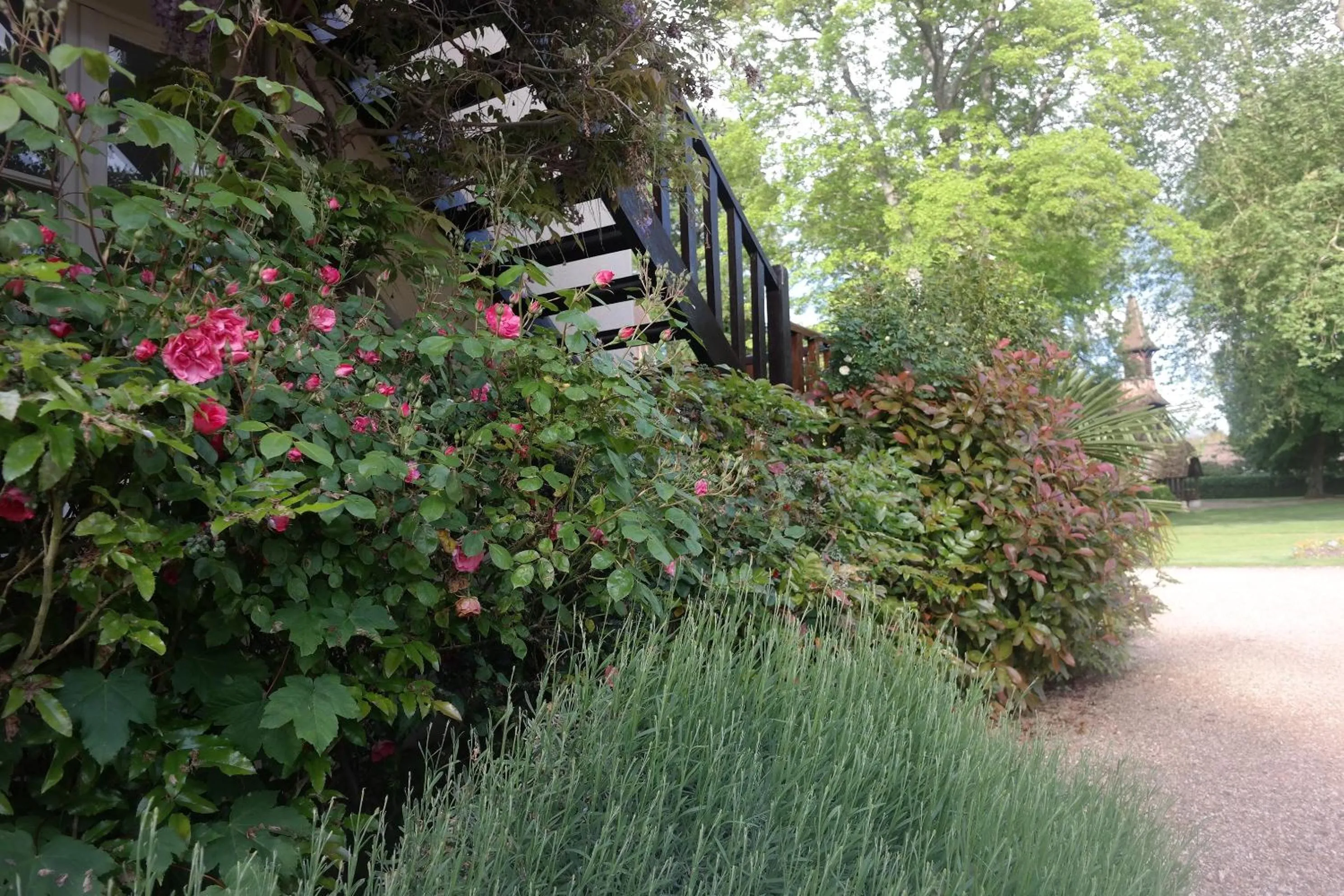 Garden in Domaine de la Reposée