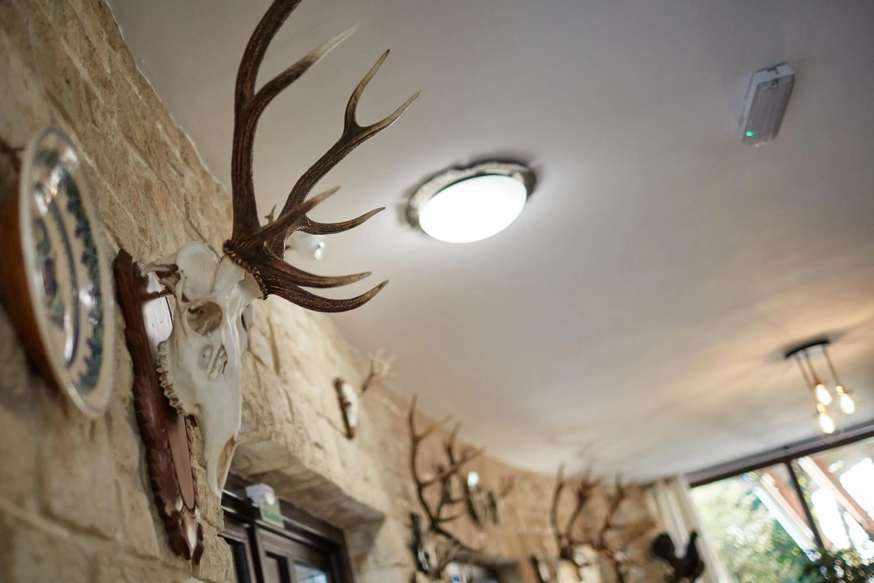 Tercia Hubertus Panzió