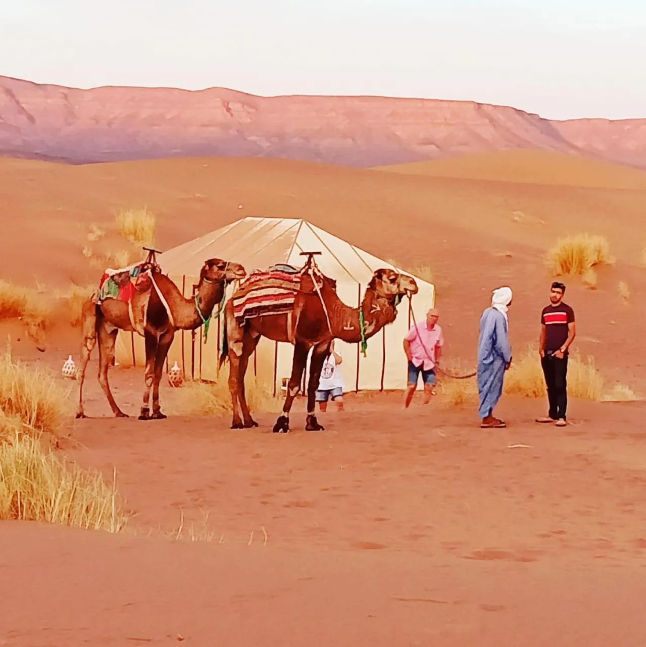 Mountain view in Tinfou desert camp