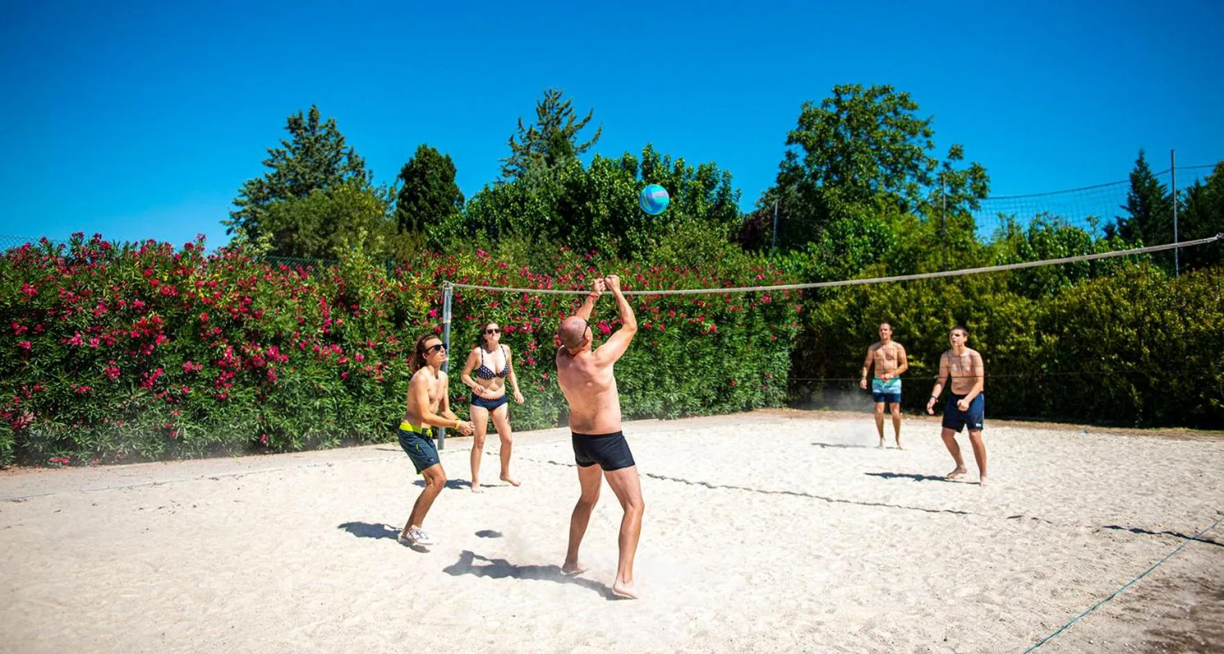 Domaine Le Clos des Oliviers