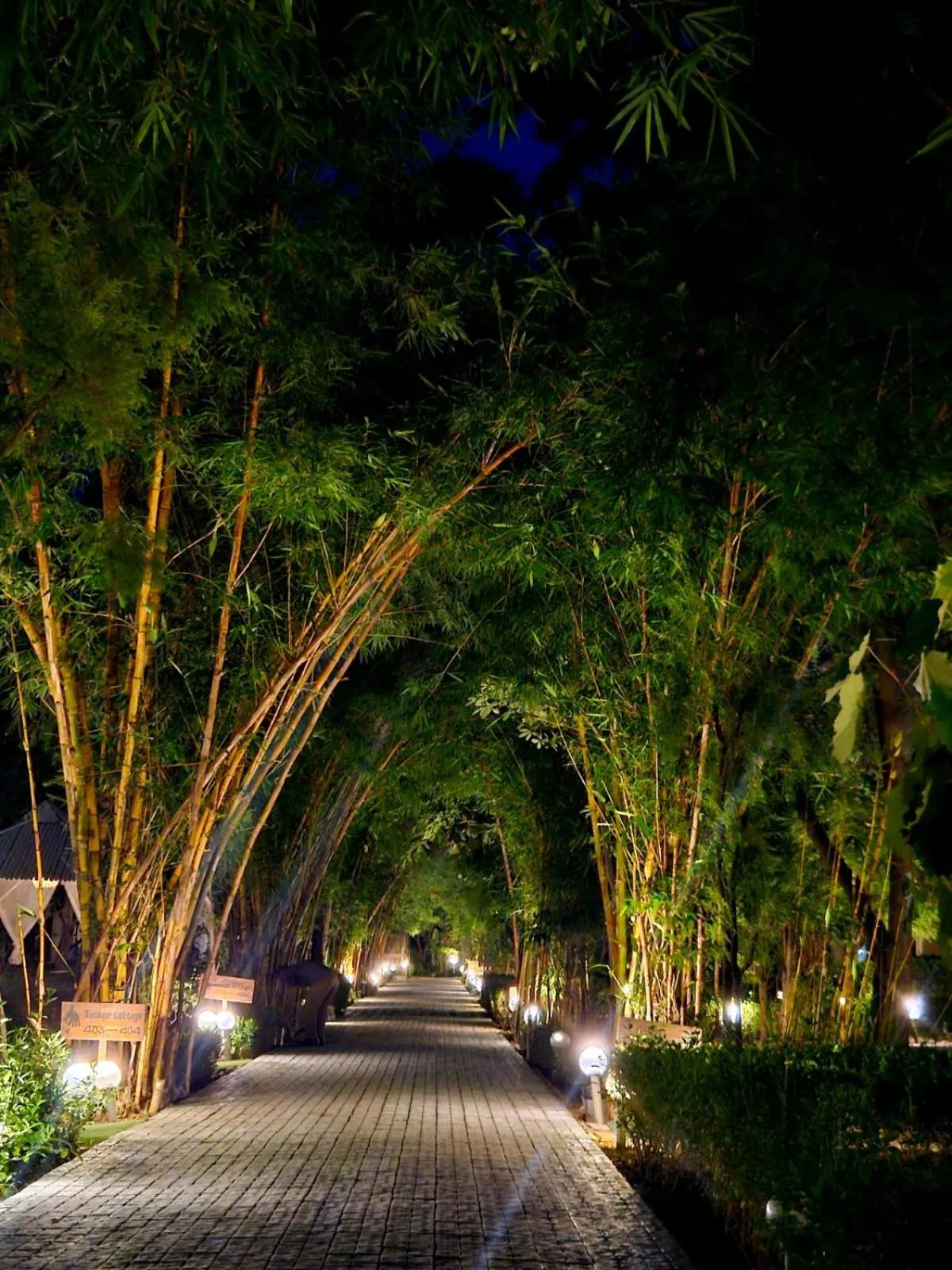 Garden in Corbett Tusker Trail