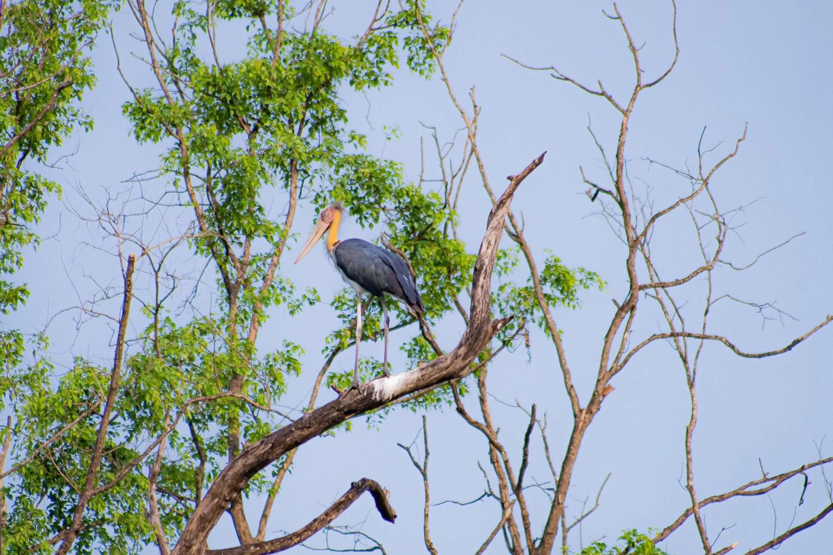 Activities in Bagaicha Adventure Resort