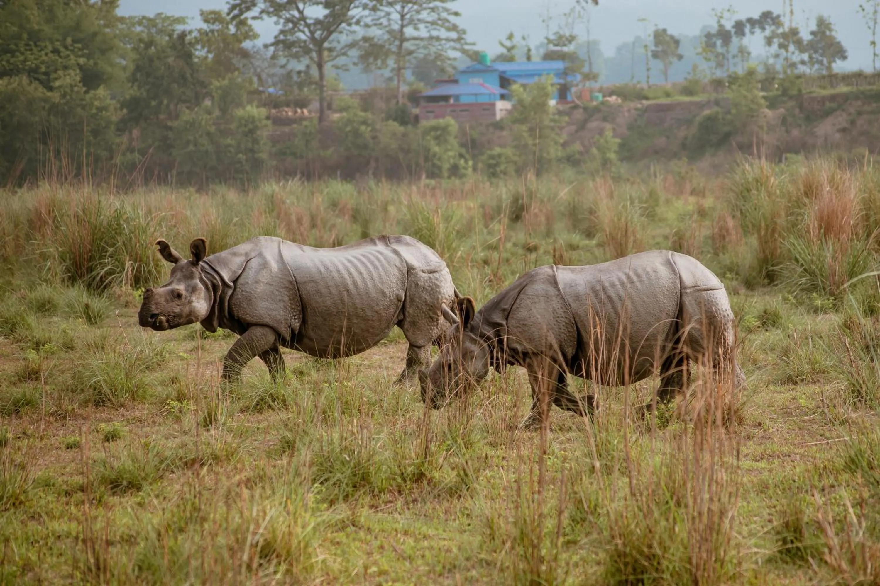 Activities in Bagaicha Adventure Resort