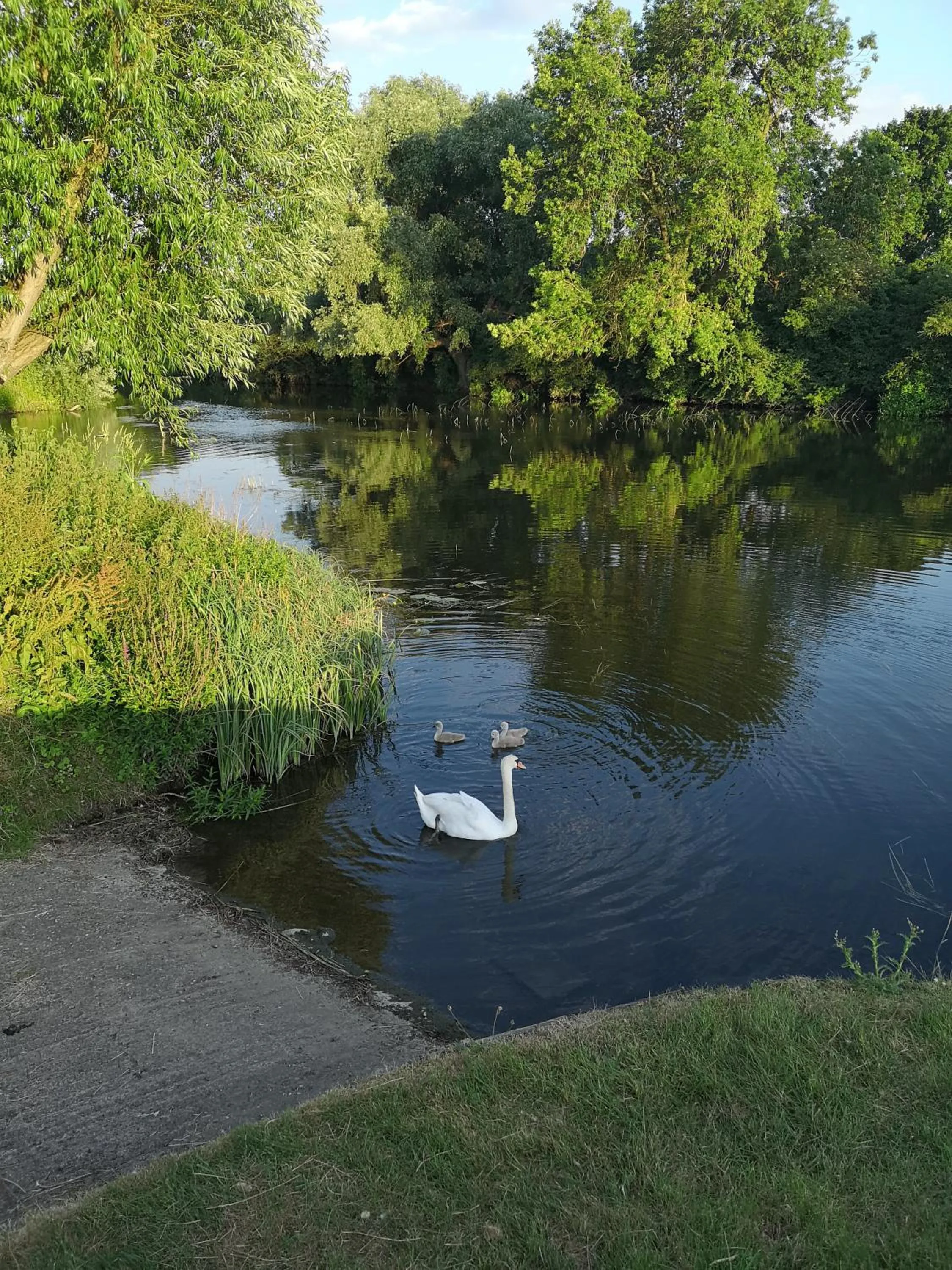 Spring in Bend in the River Lodge