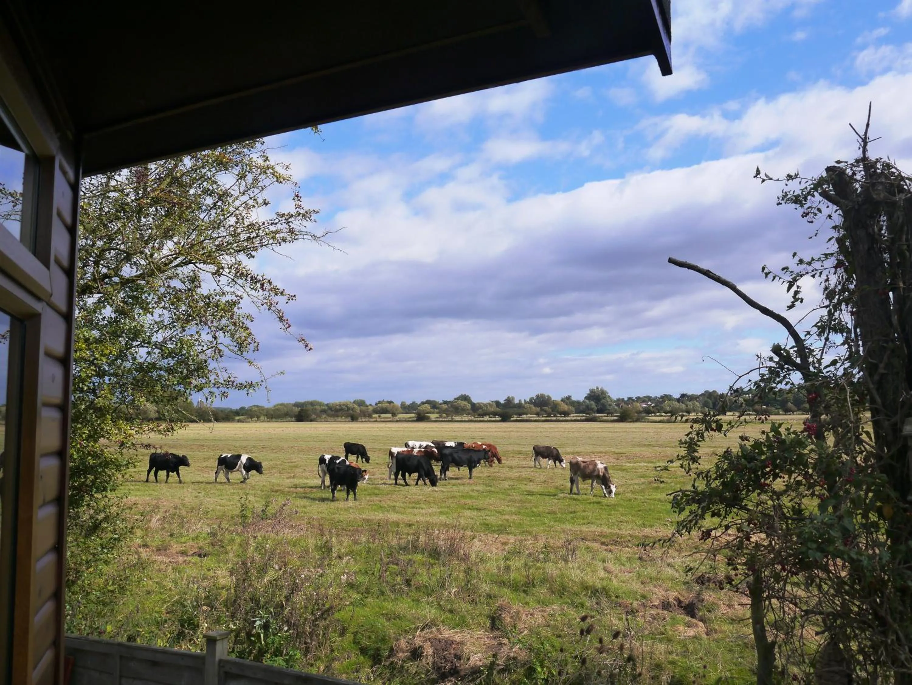 Fishing in Bend in the River Lodge