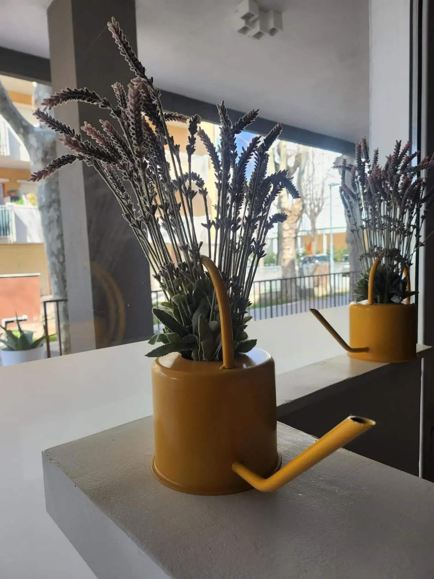 Lobby or reception in Hotel apartments Crisvan Lobby or reception in Hotel apartments Crisvan