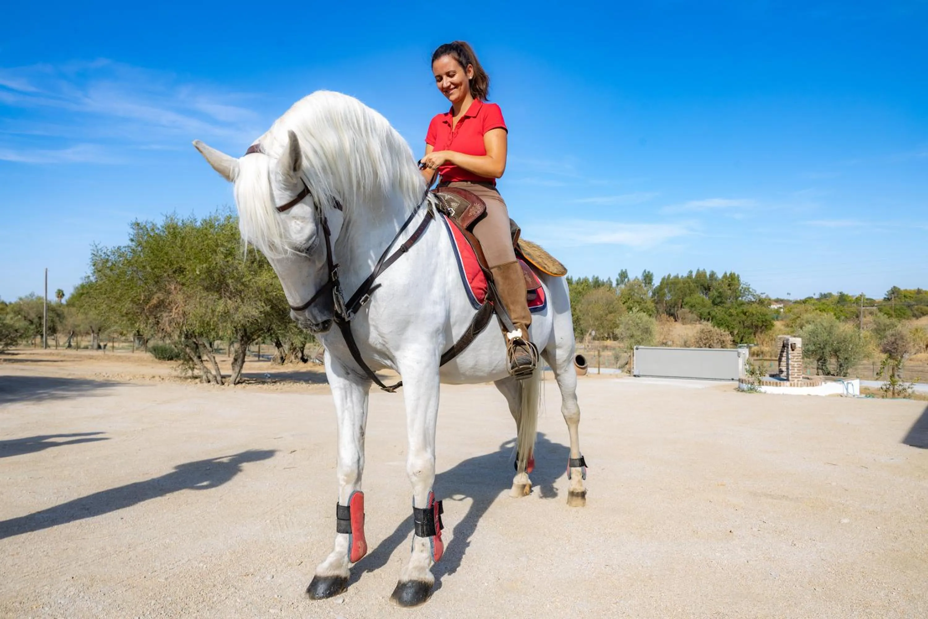 Horse-riding in Quinta da Amendoeira - Évora - The Farmhouse