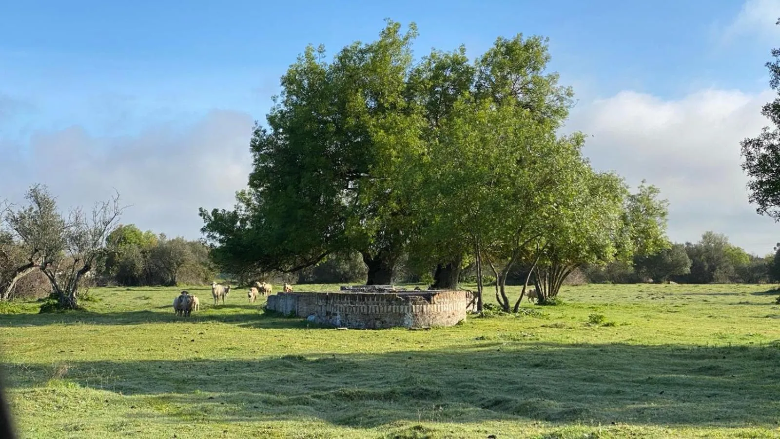 Garden in Quinta da Amendoeira - Évora - The Farmhouse