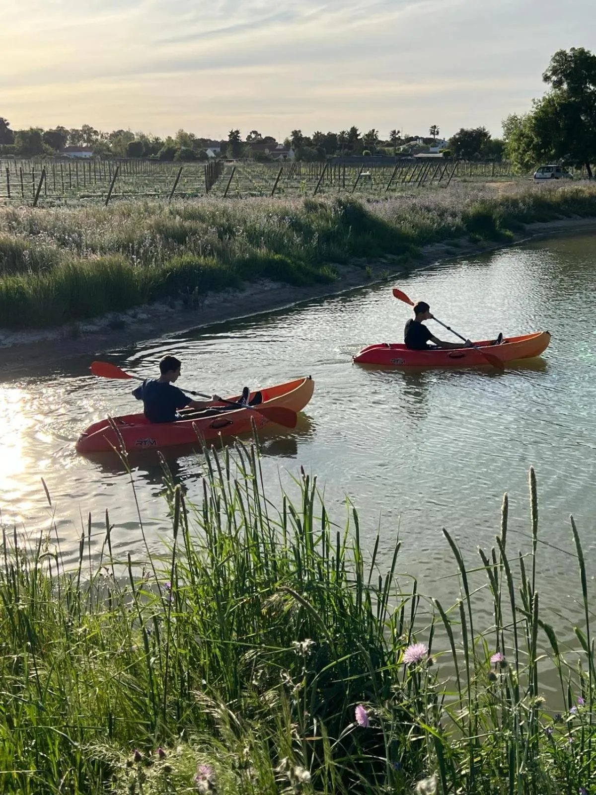 Activities in Quinta da Amendoeira - Évora - The Farmhouse