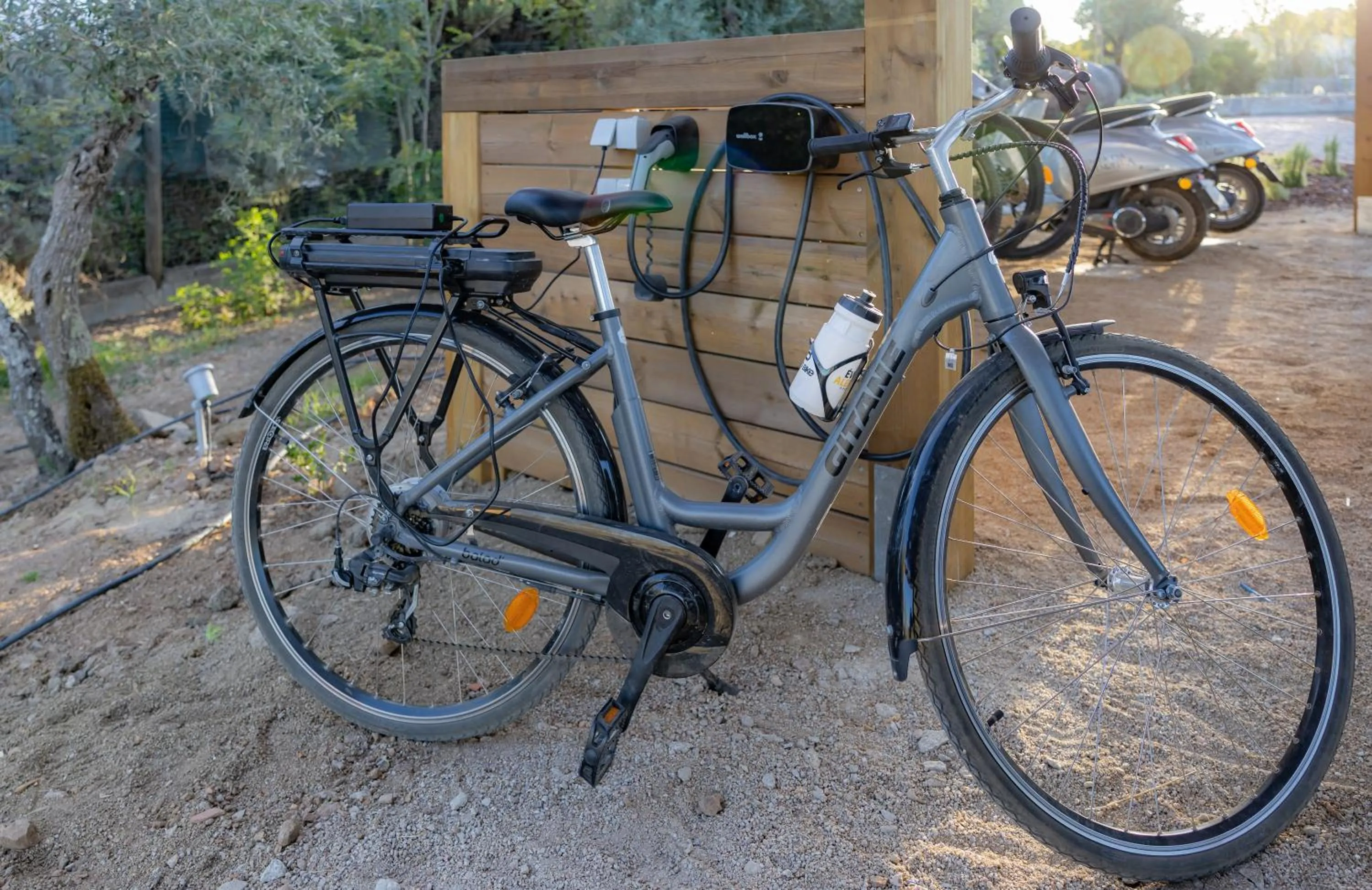 Cycling in Quinta da Amendoeira - Évora - The Farmhouse