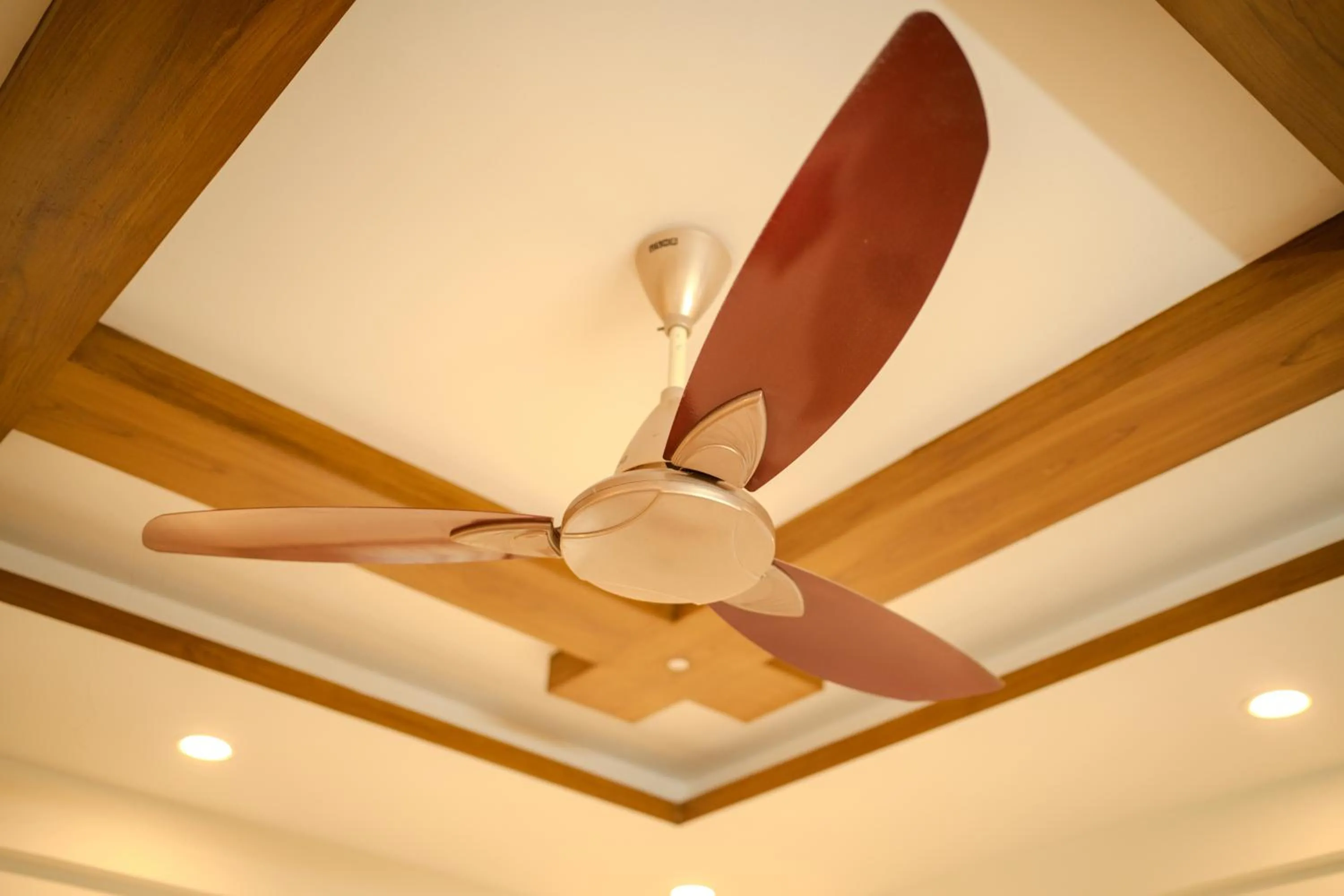 Native by Cliff and Coral