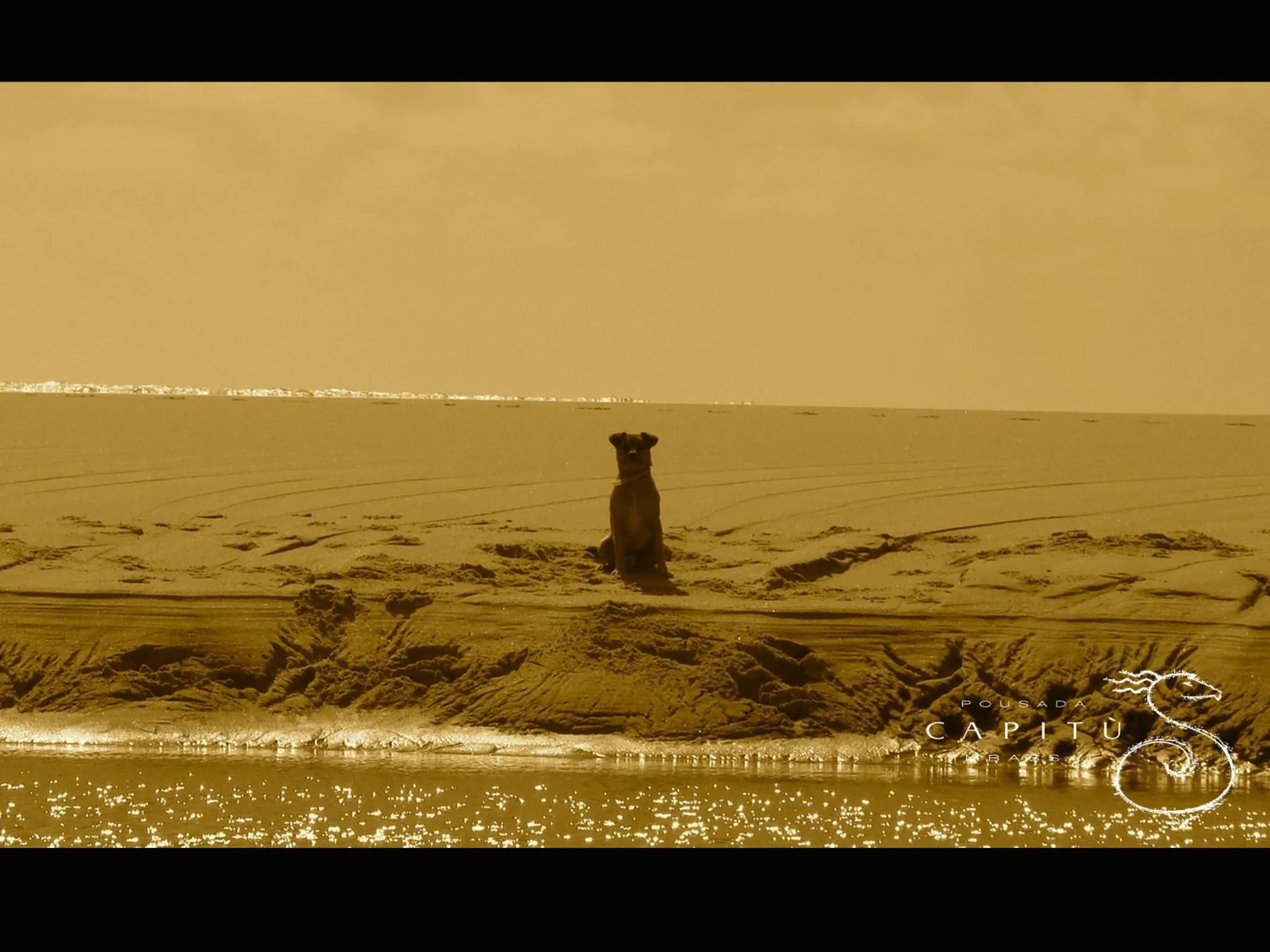 Beach in Pousada Capitù