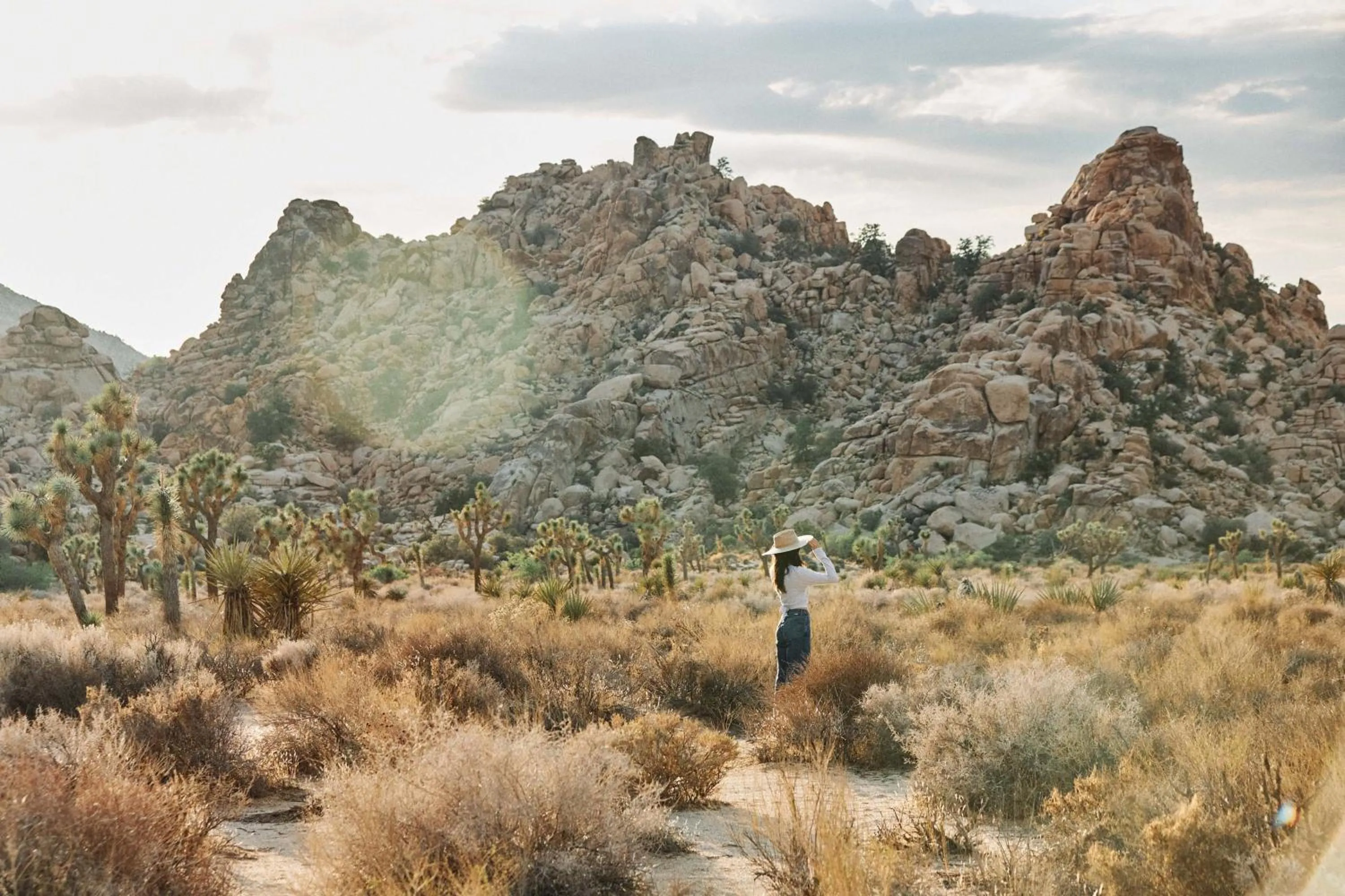 Field Station Joshua Tree